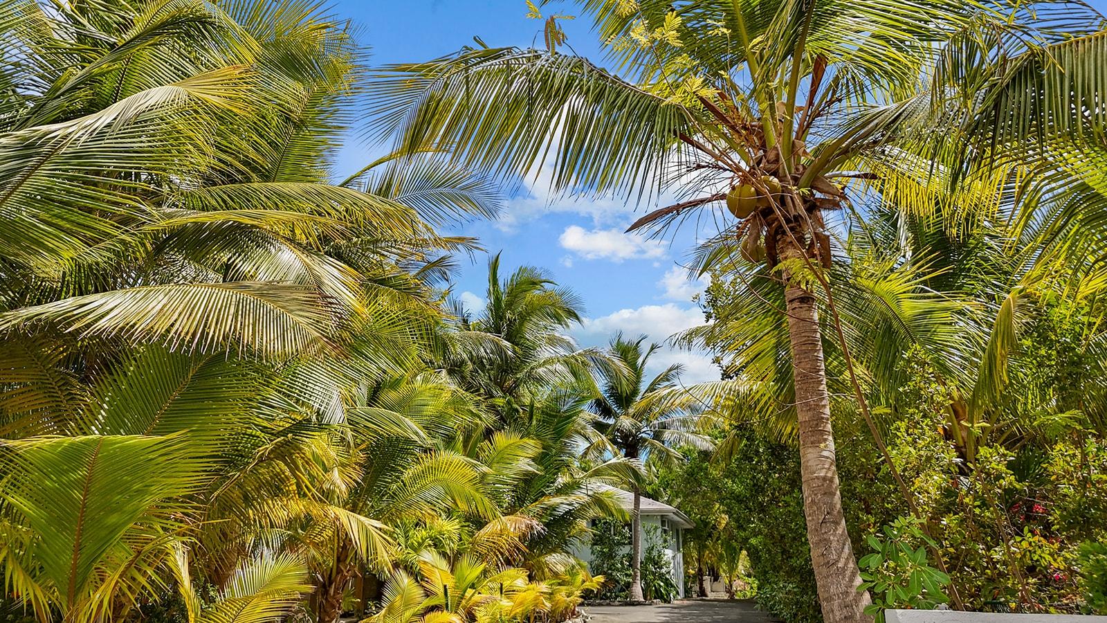 Perfect Leeward Turnkey Property