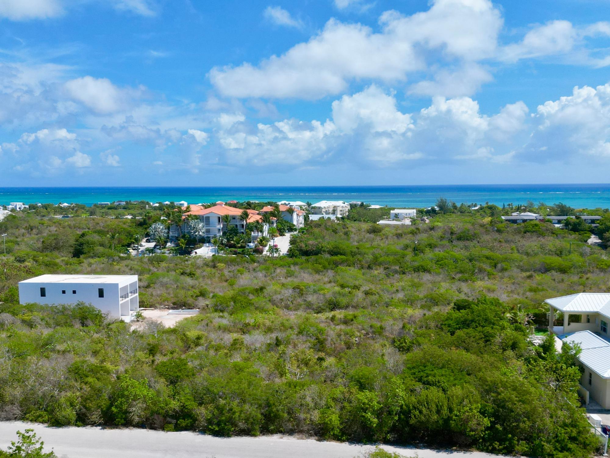 Turtle Cove Land
