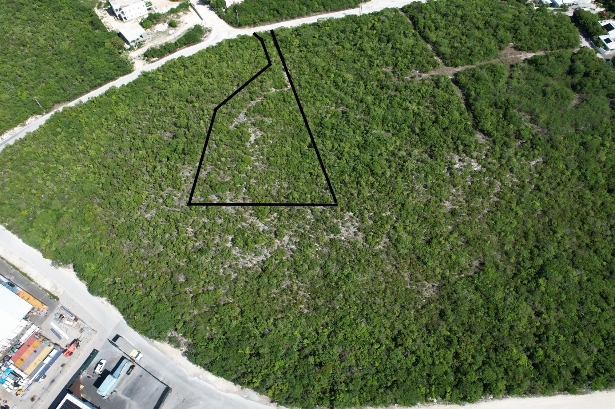 BLUE MOUNTAIN — photo 3
