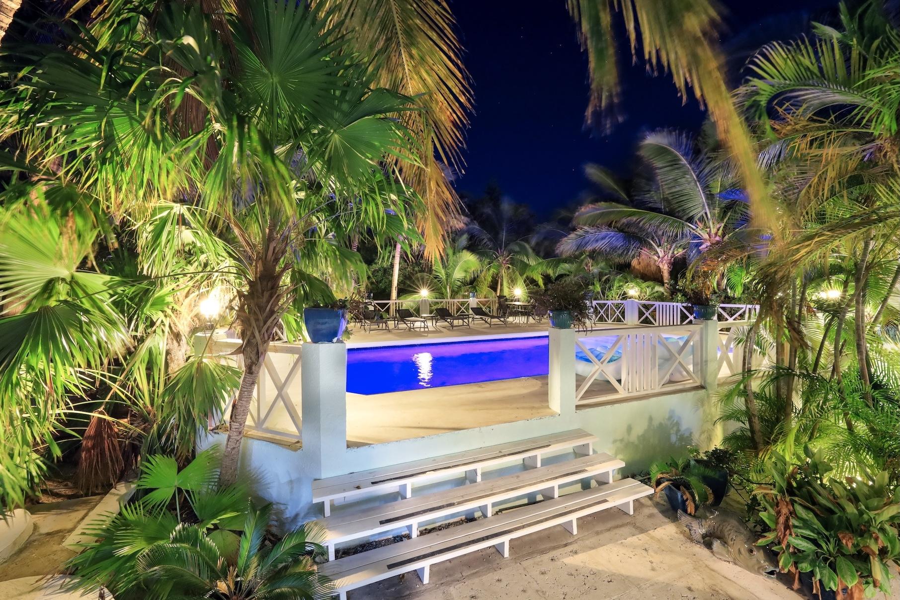 VILLA TROPICA — photo 4