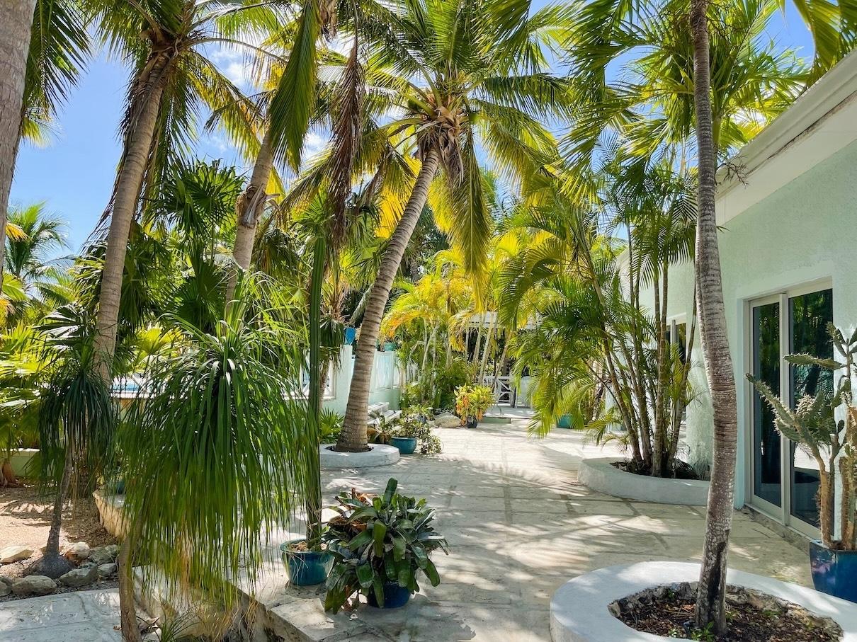 VILLA TROPICA SANDPIPER AVENUE-LEEWARD