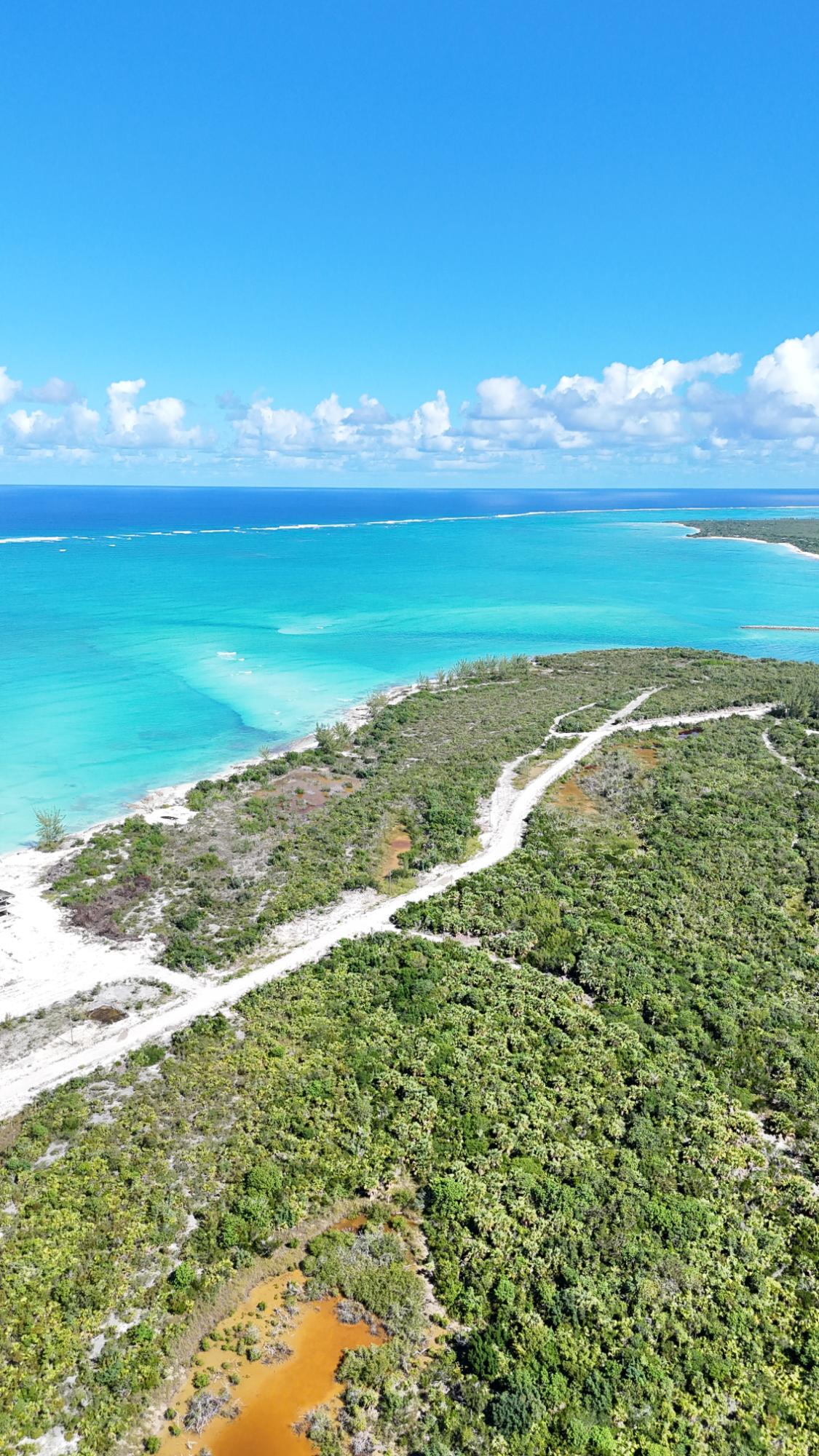 Dellis Cay