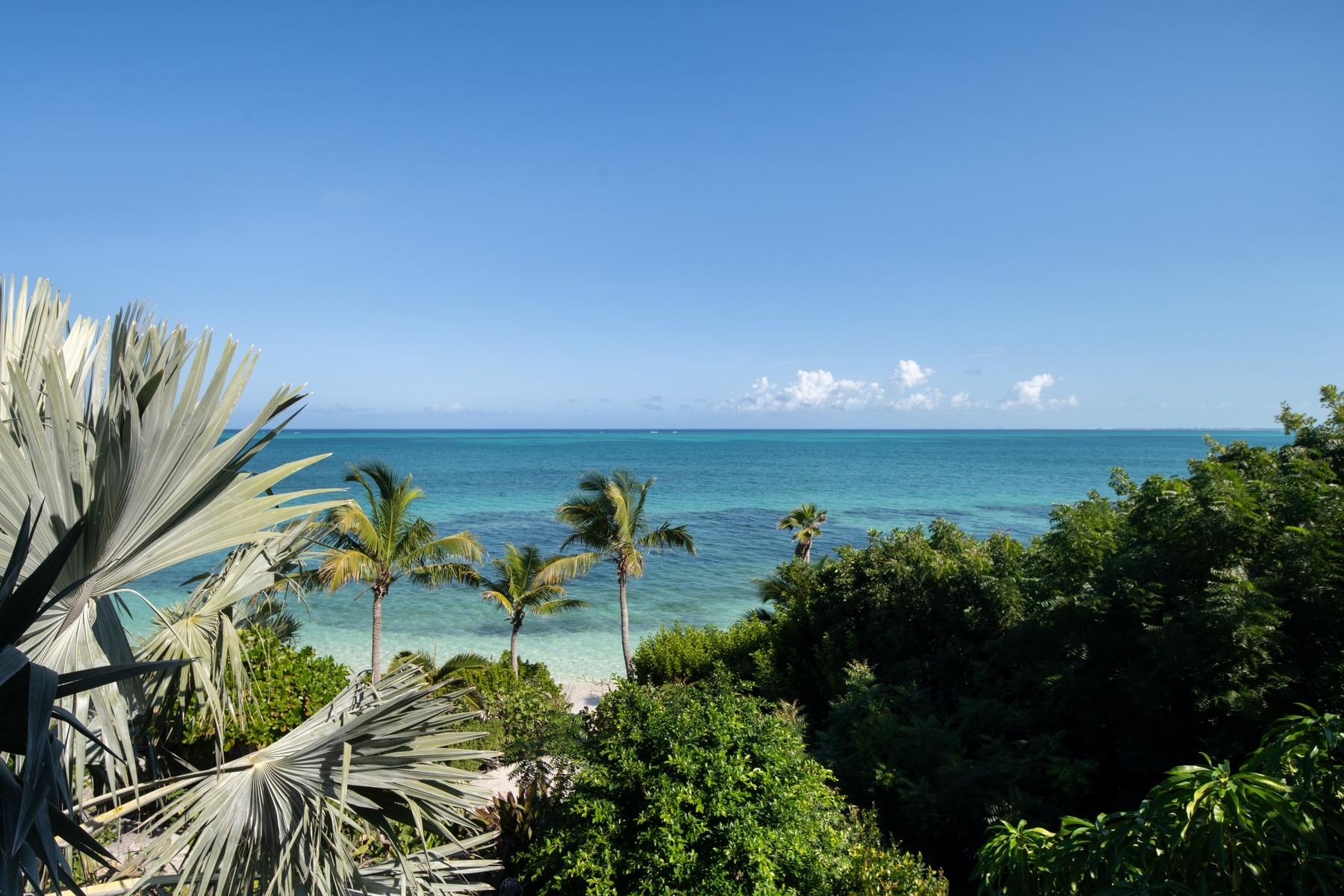 BLUE CAY - Thompson Cove Beachfront