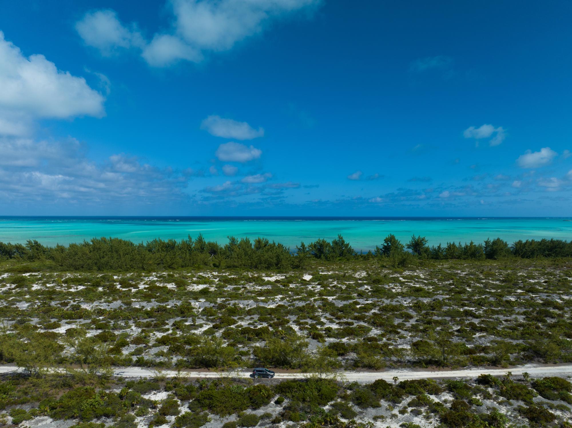 Lot 14 WILD COW RUN — photo 5
