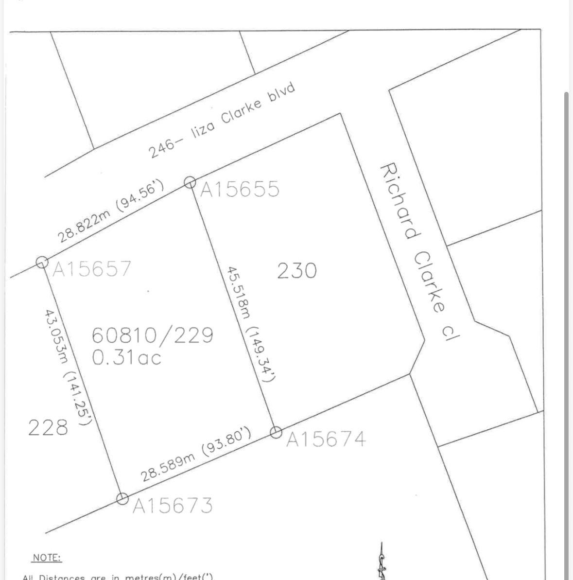 229 CLARKE 'S ESTATE — photo 4