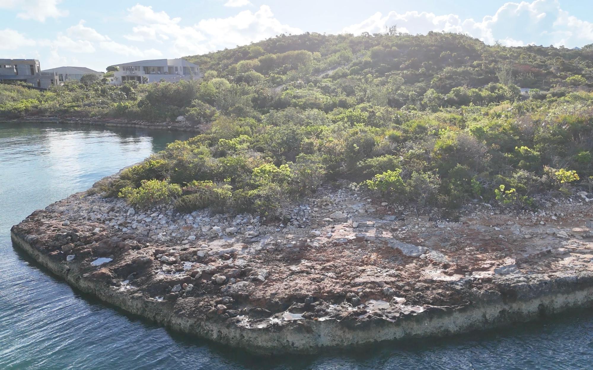 THE ENCLAVE OF HAWKSBILL — photo 3