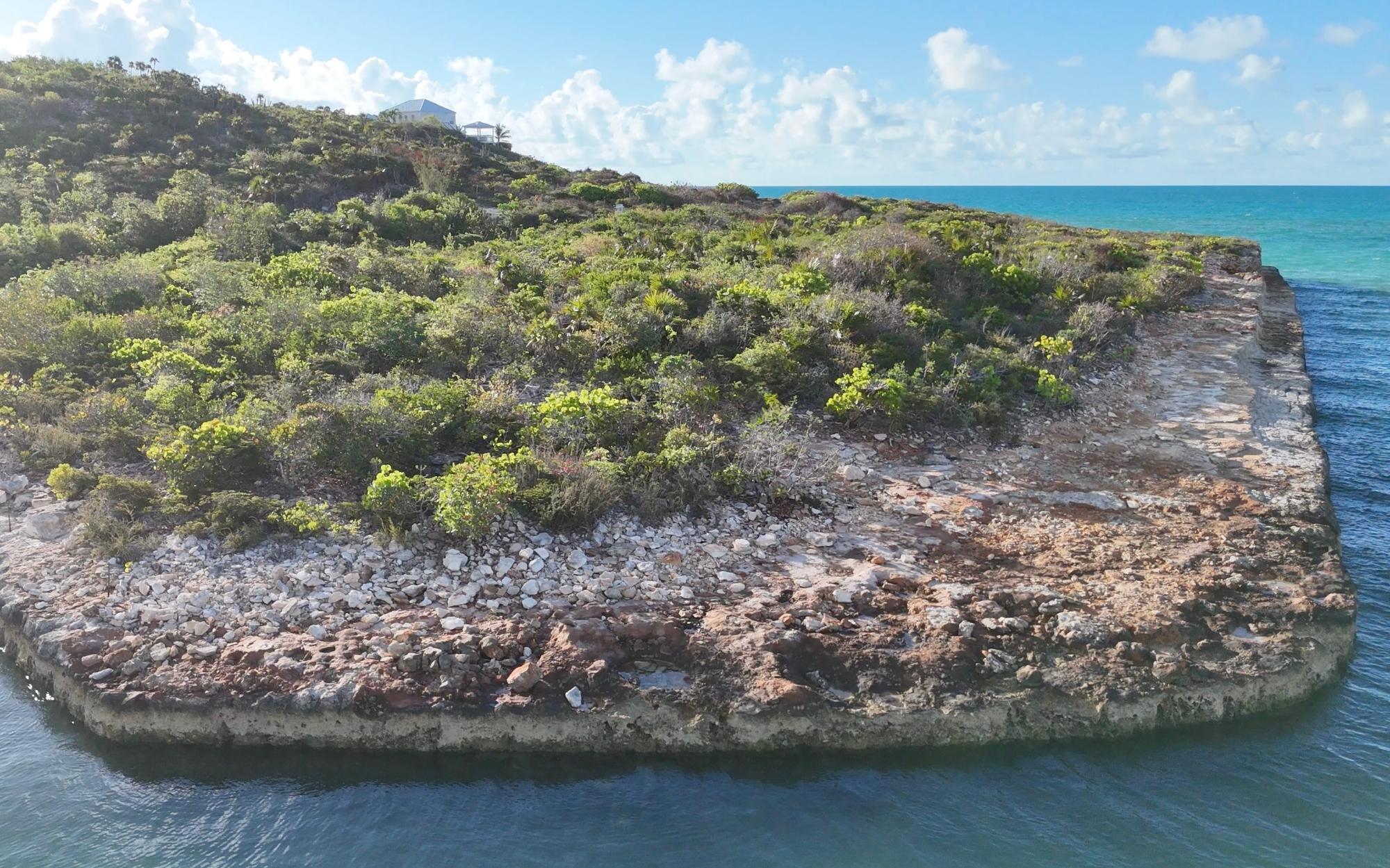 THE ENCLAVE OF HAWKSBILL — photo 4