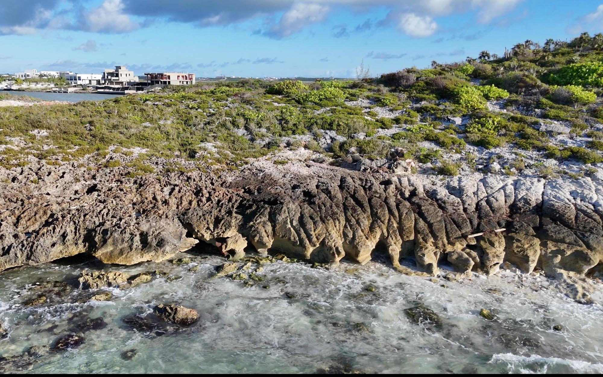 The Pinnacle of Hawksbill