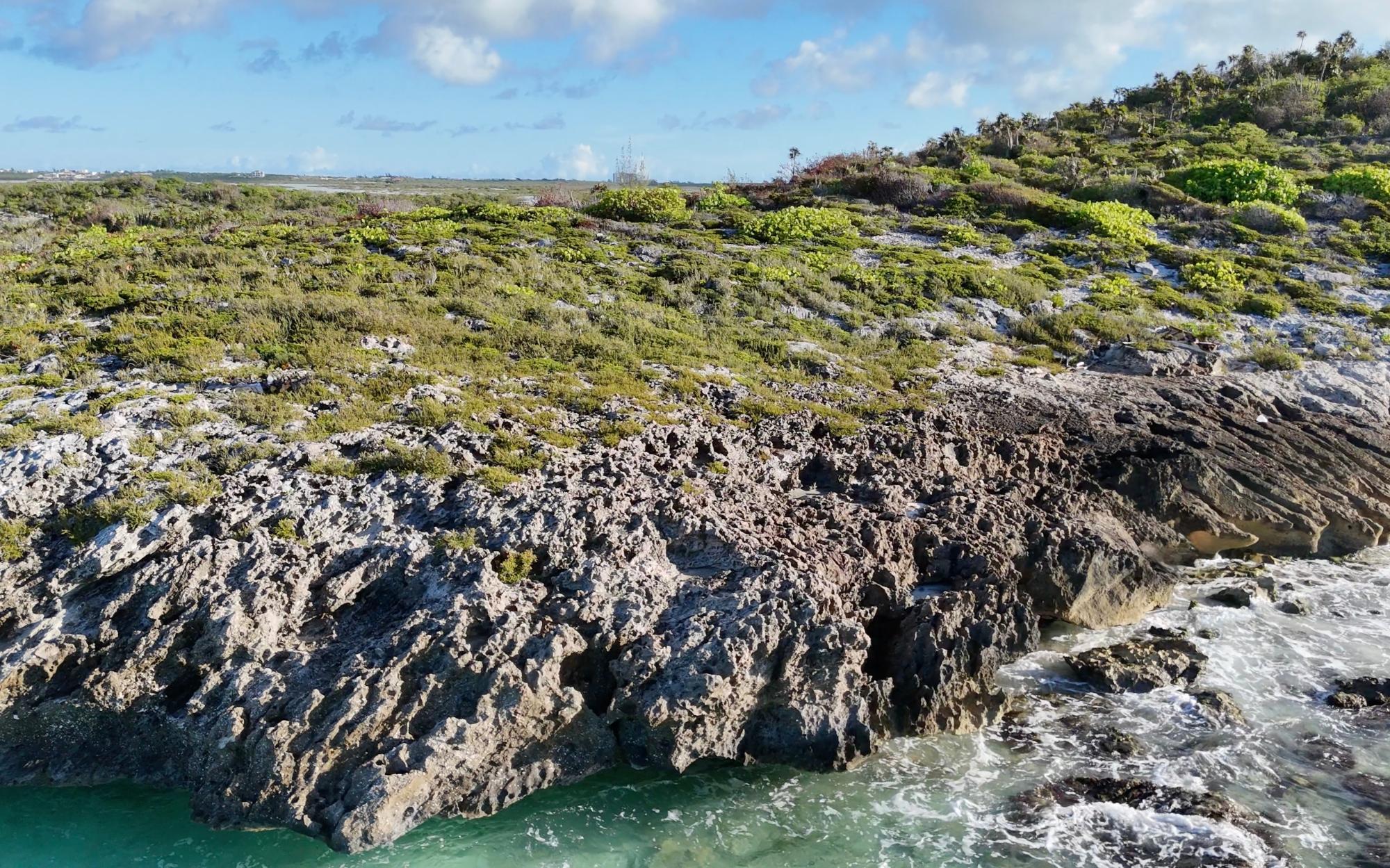 The Pinnacle of Hawksbill