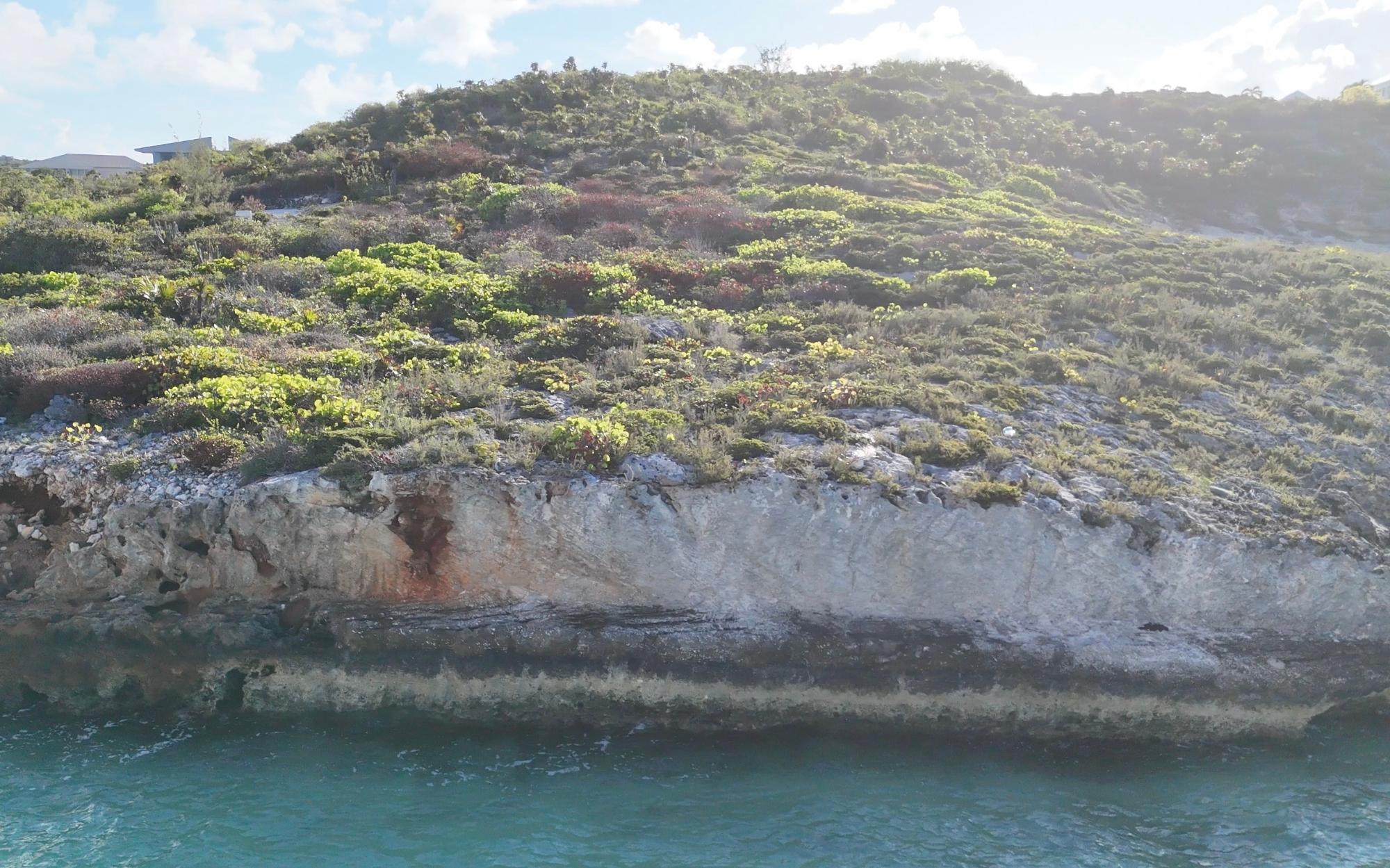 The Pinnacle of Hawksbill