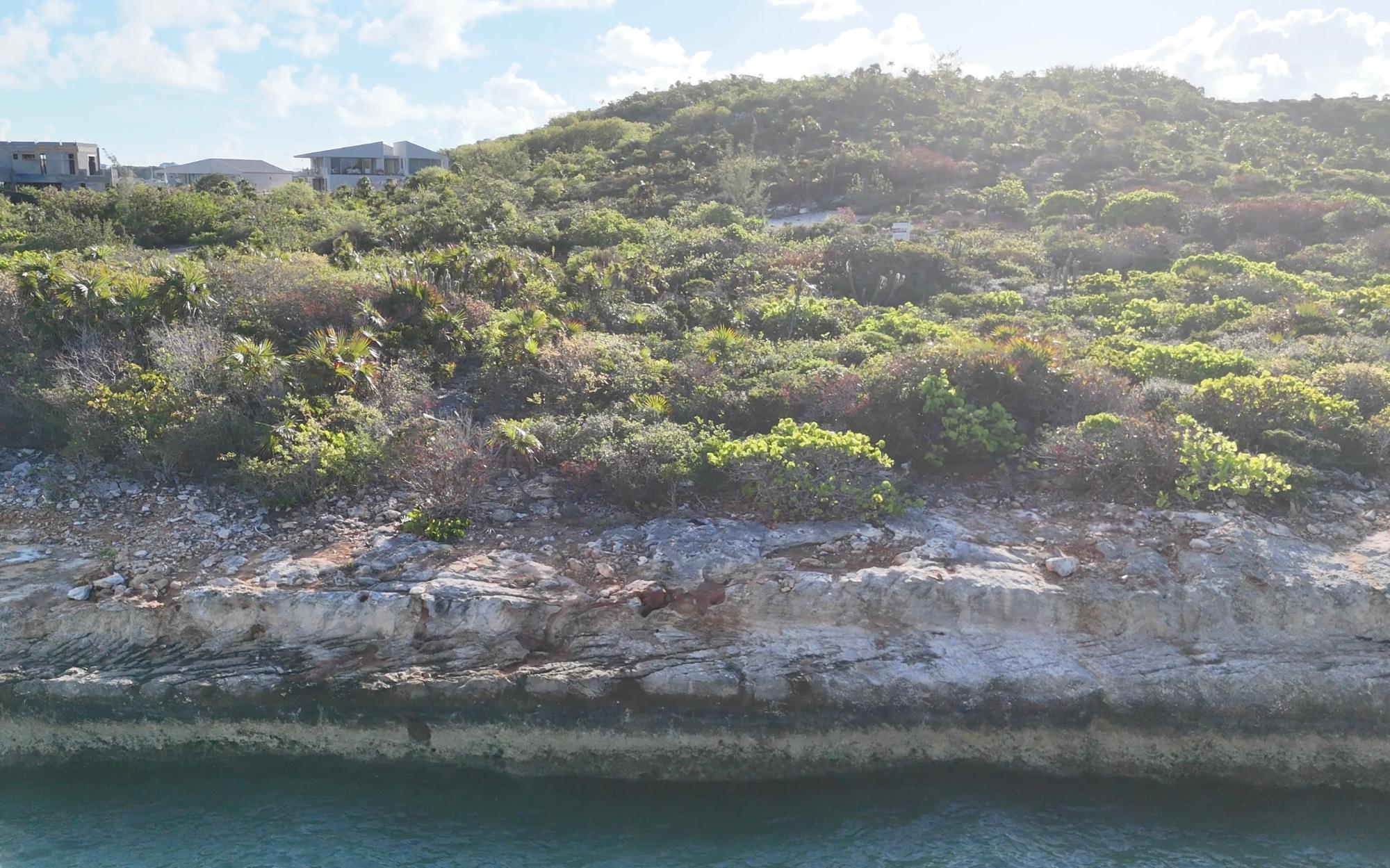 SURROUNDED BY WATER: HAWKSBILL