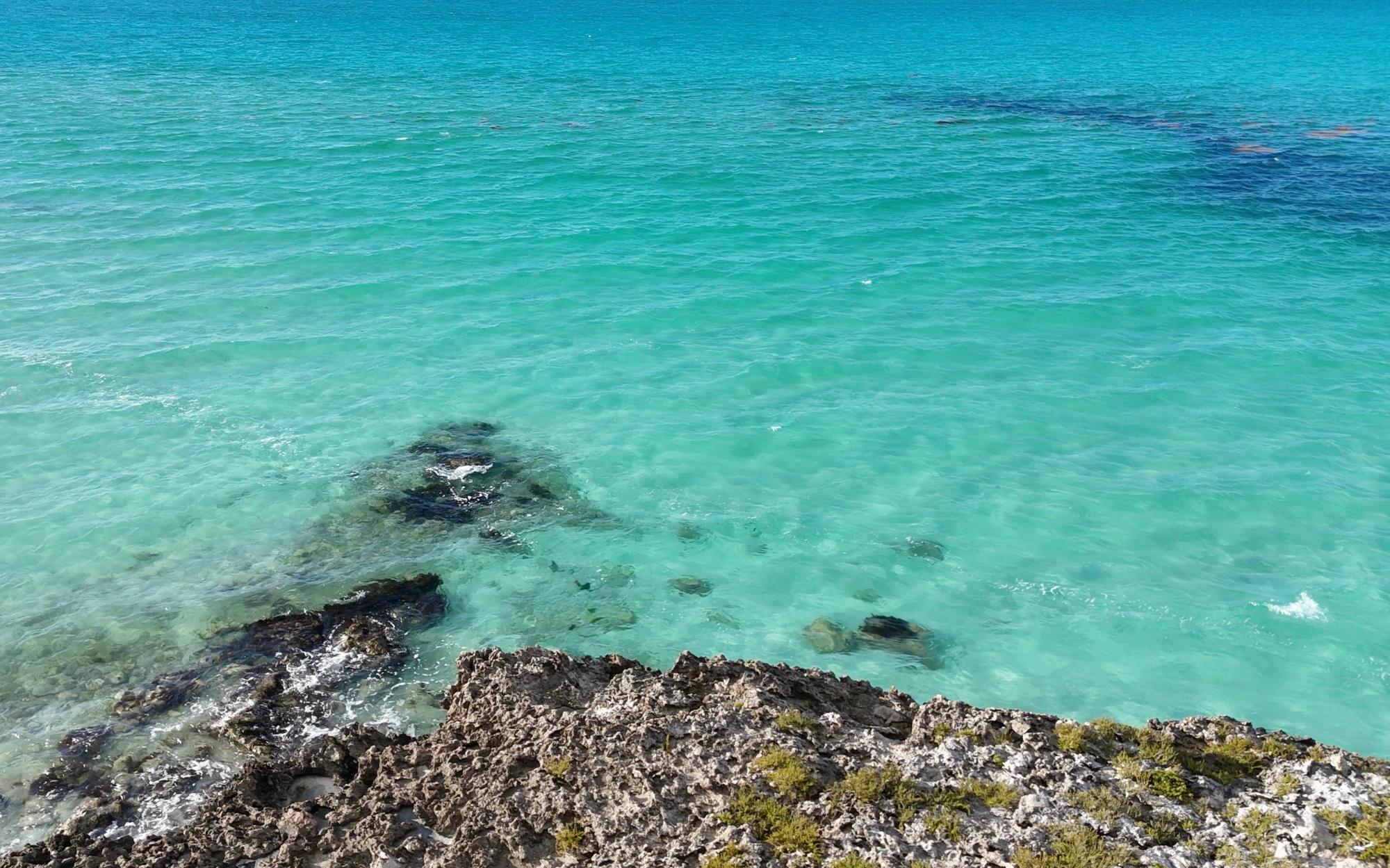 SURROUNDED BY WATER: HAWKSBILL