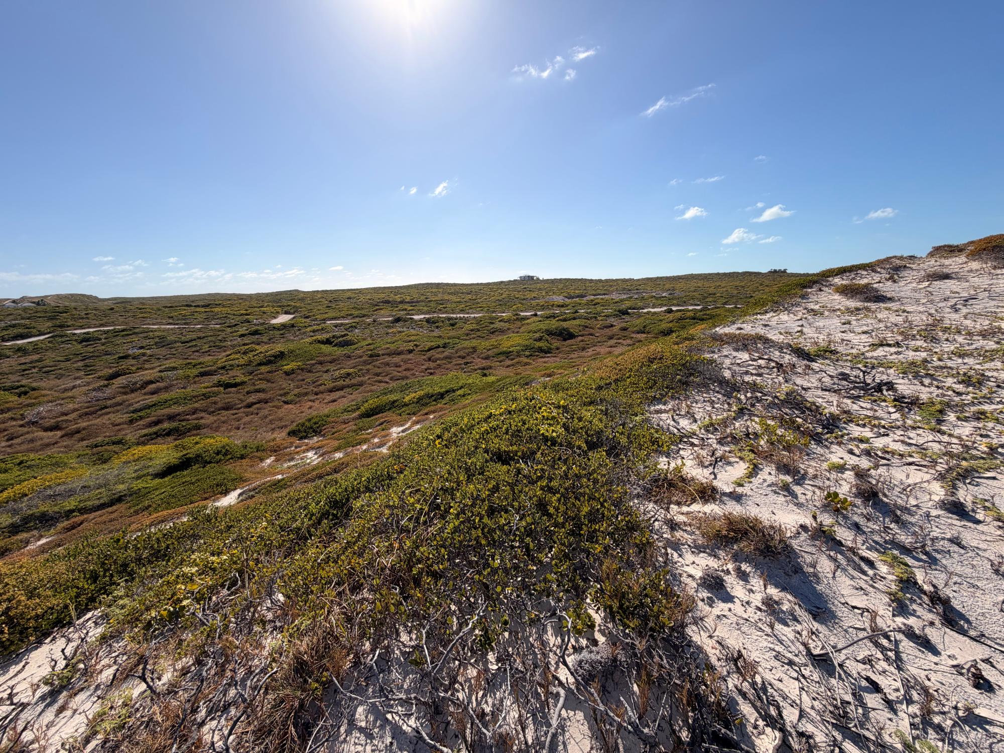 AMBERGRIS CAY OCEANFRONT — photo 5
