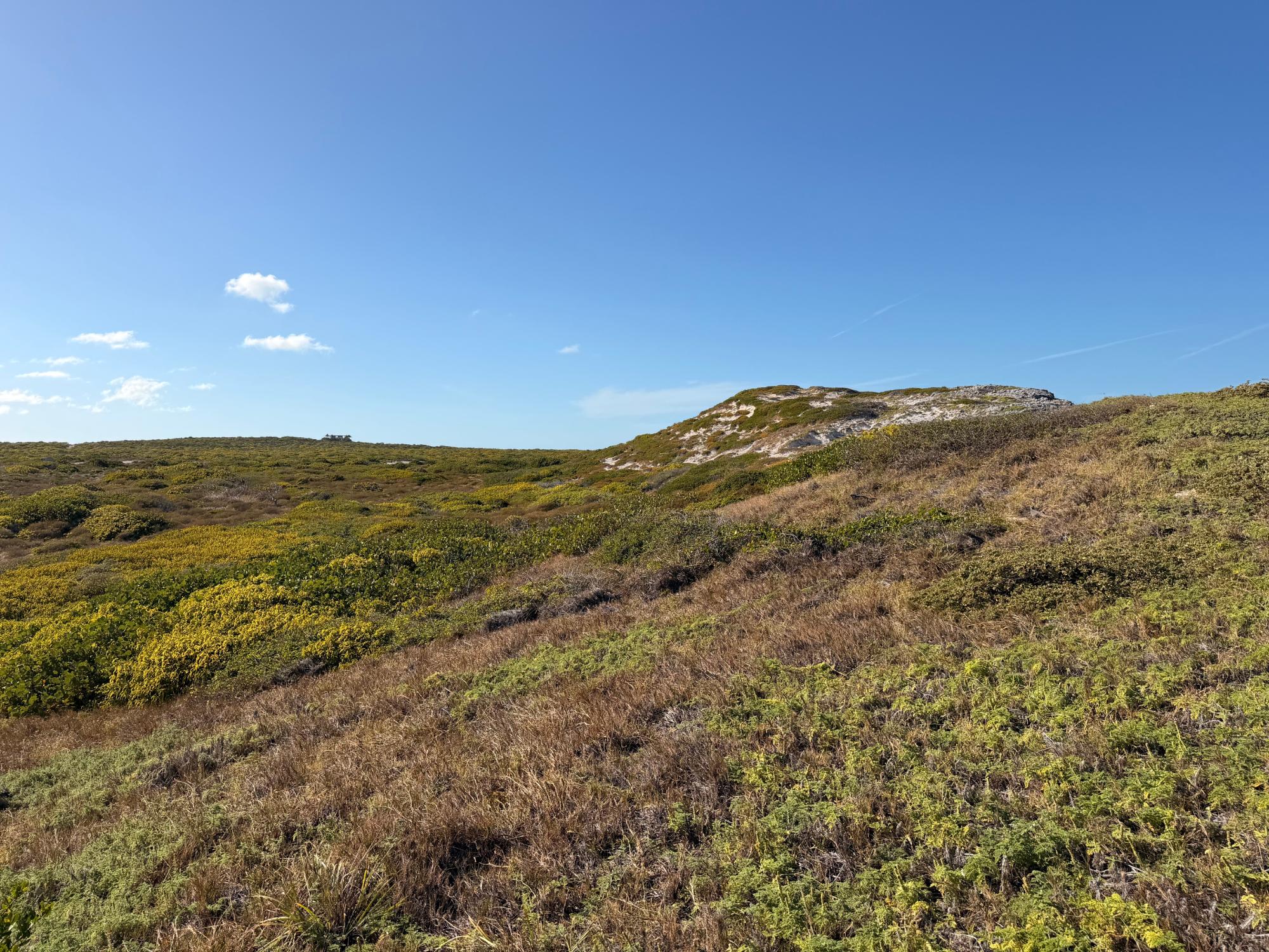 AMBERGRIS CAY OCEANFRONT — photo 5