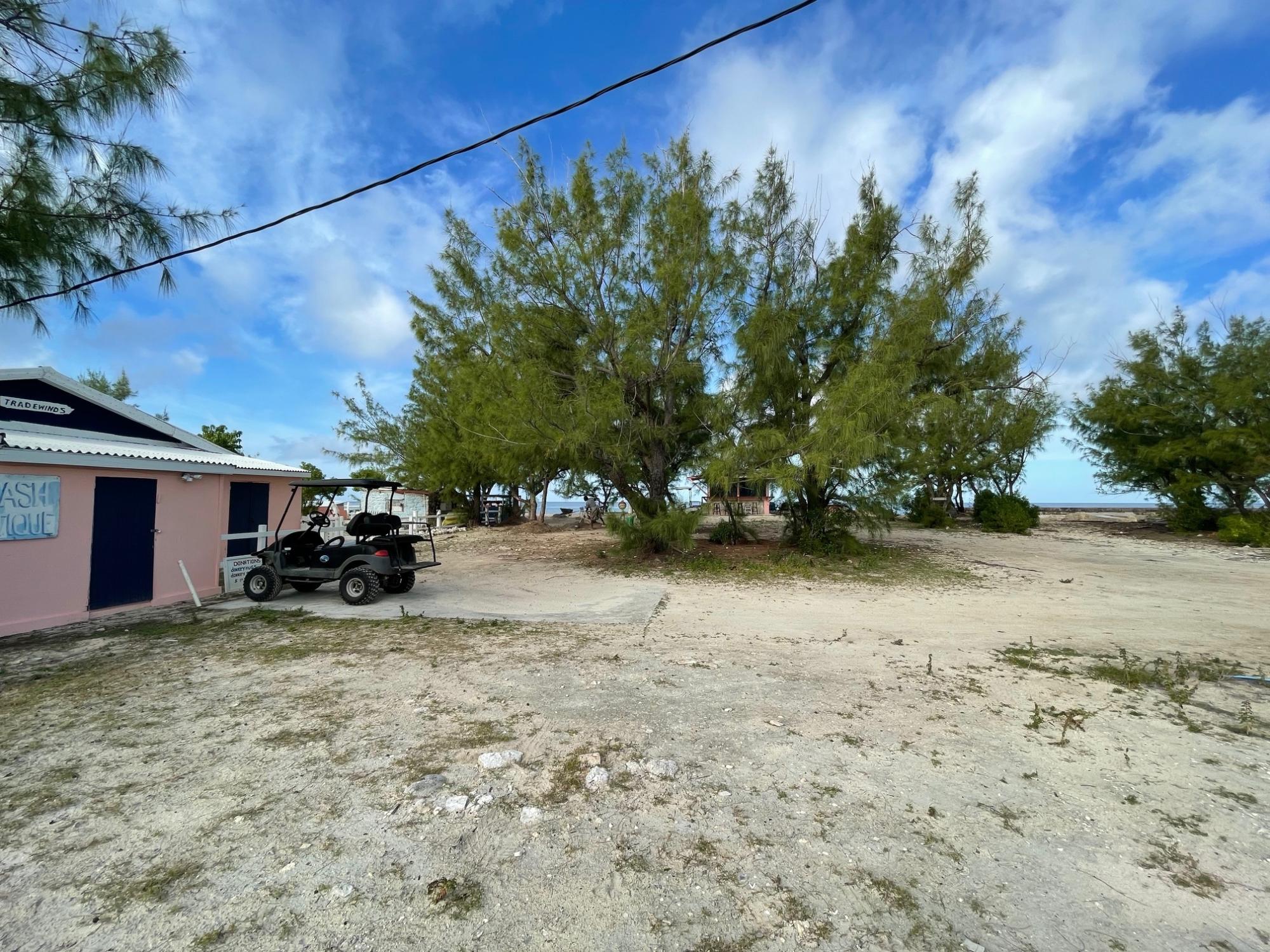 TRADEWINDS, SALTCAY