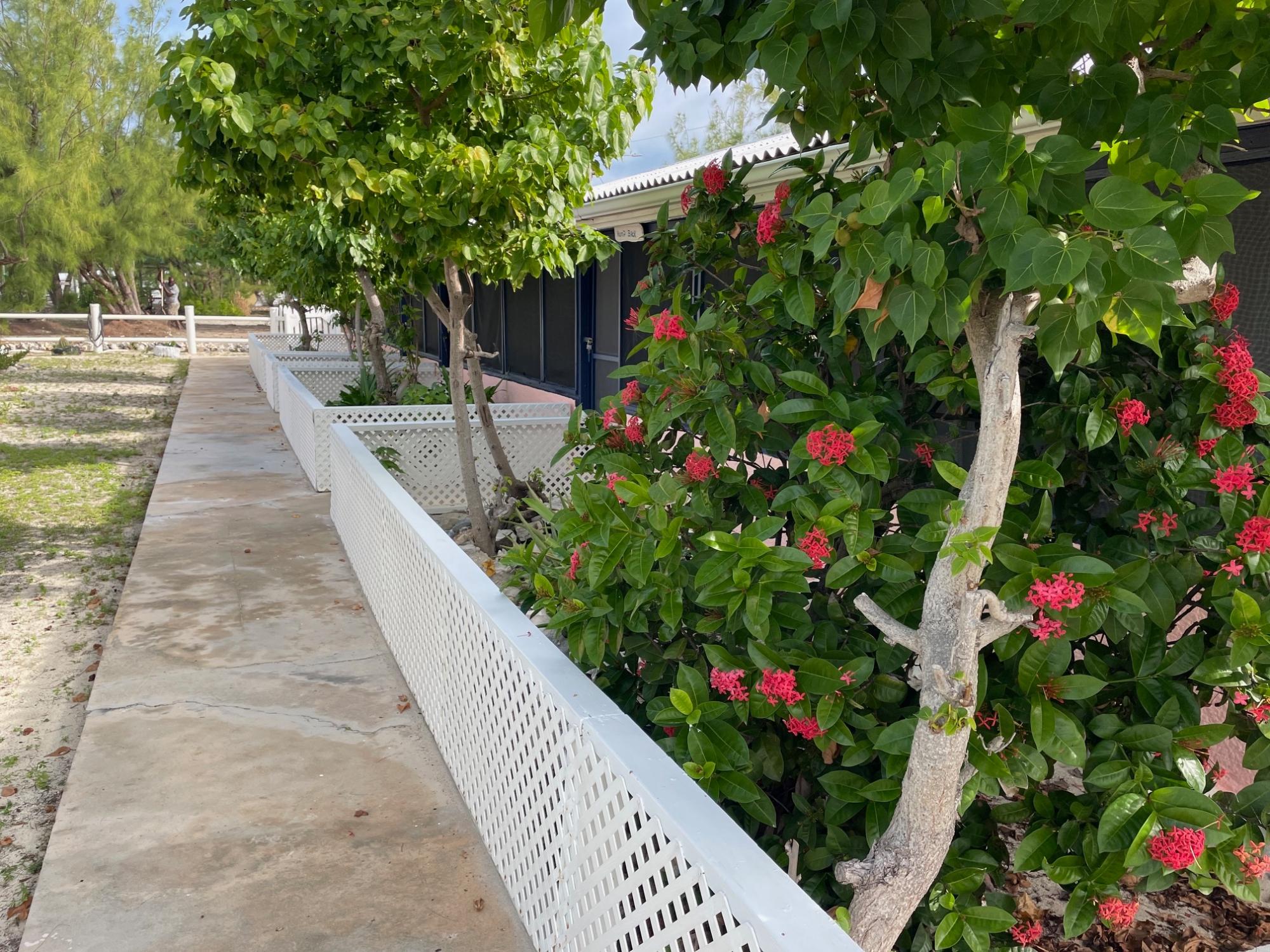 TRADEWINDS, SALTCAY