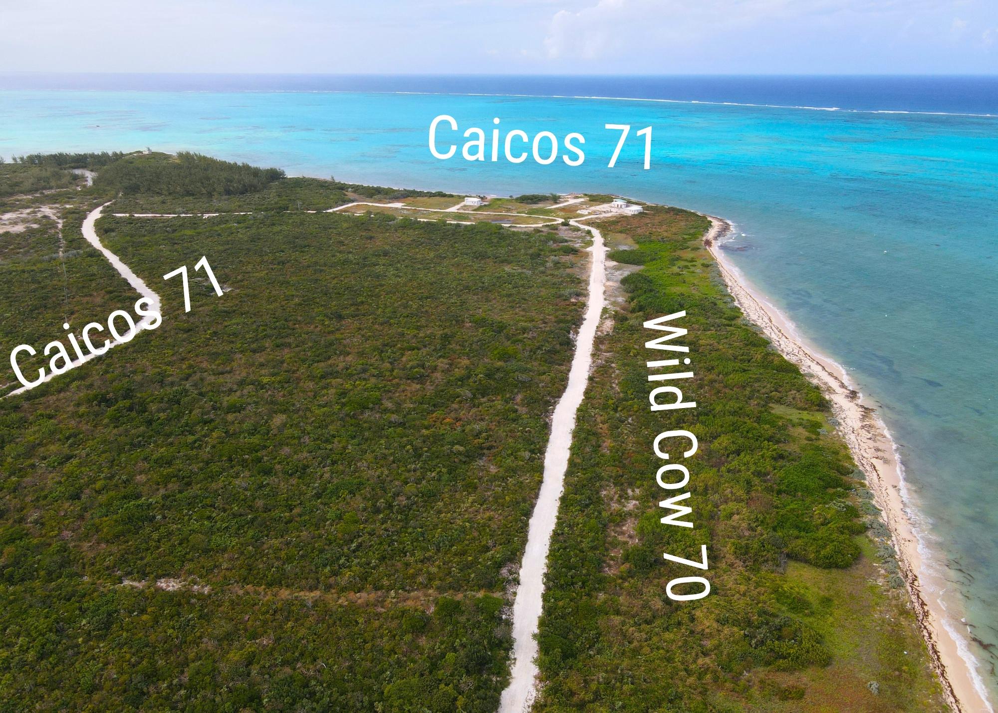 CAICOS 71 | LOT 35 — photo 5