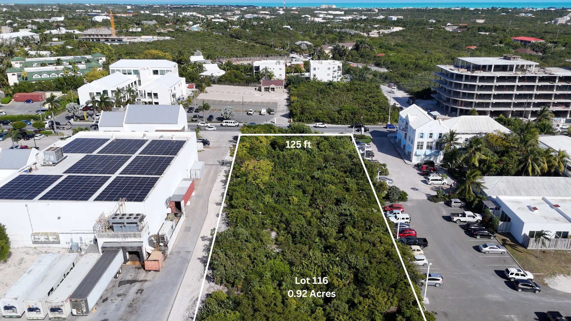 THE AXIS OF GRACE BAY — photo 5