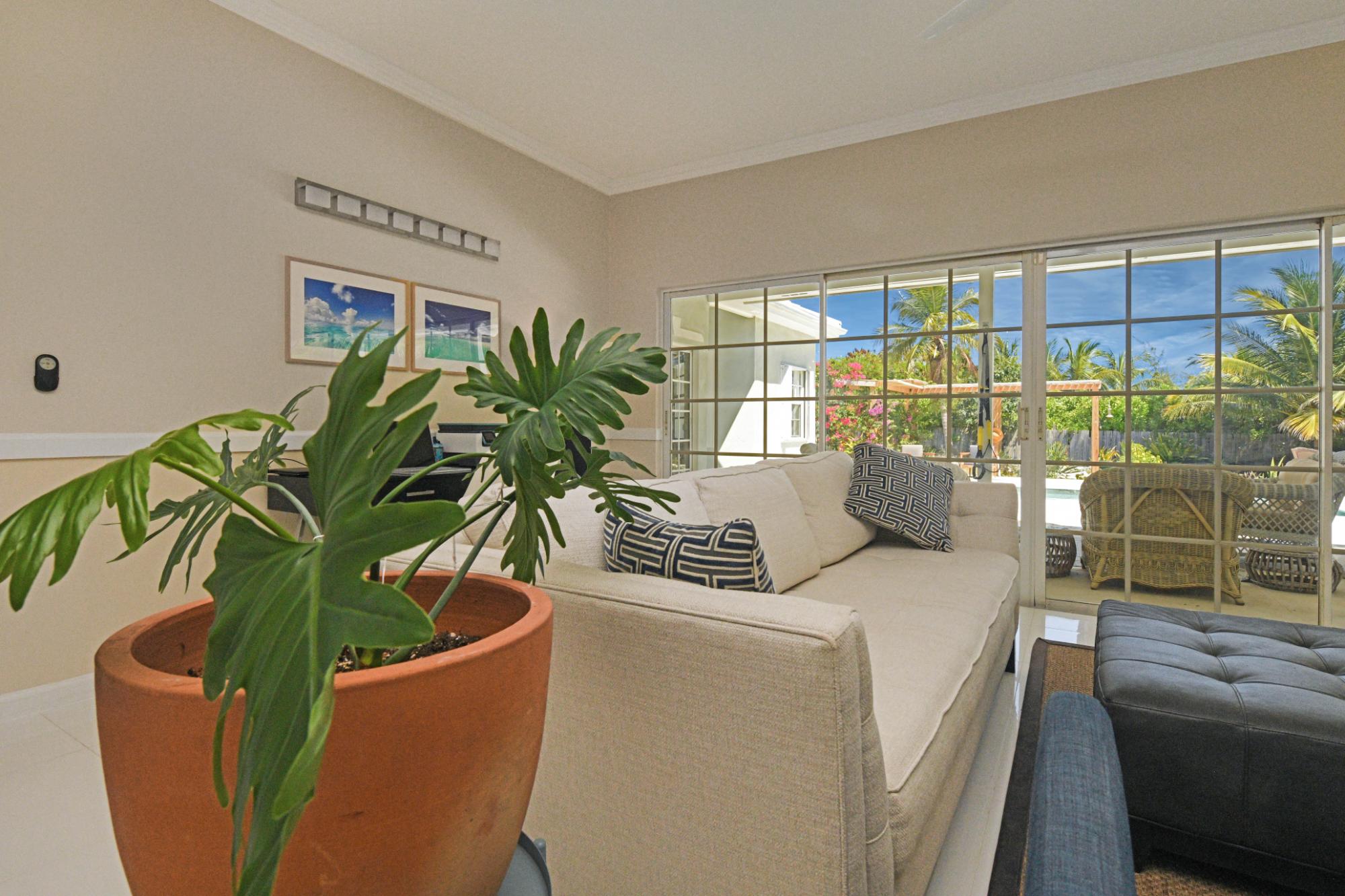LEEWARD PALMS DELIGHT