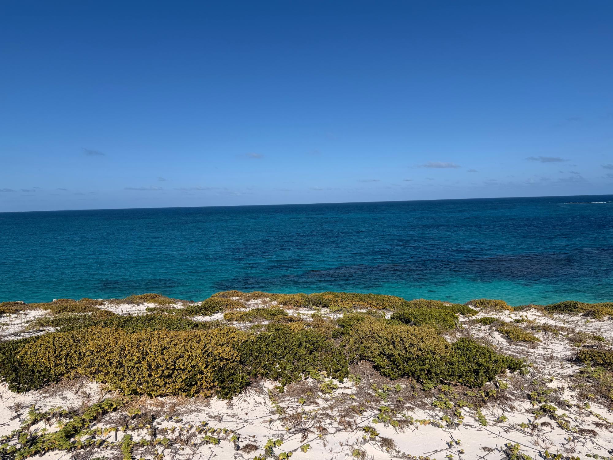 AMBERGRIS CAY OCEANFRONT — photo 4