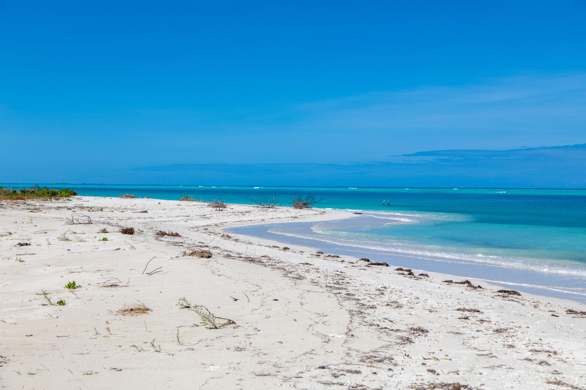 Barracuda Point, Pine Cay