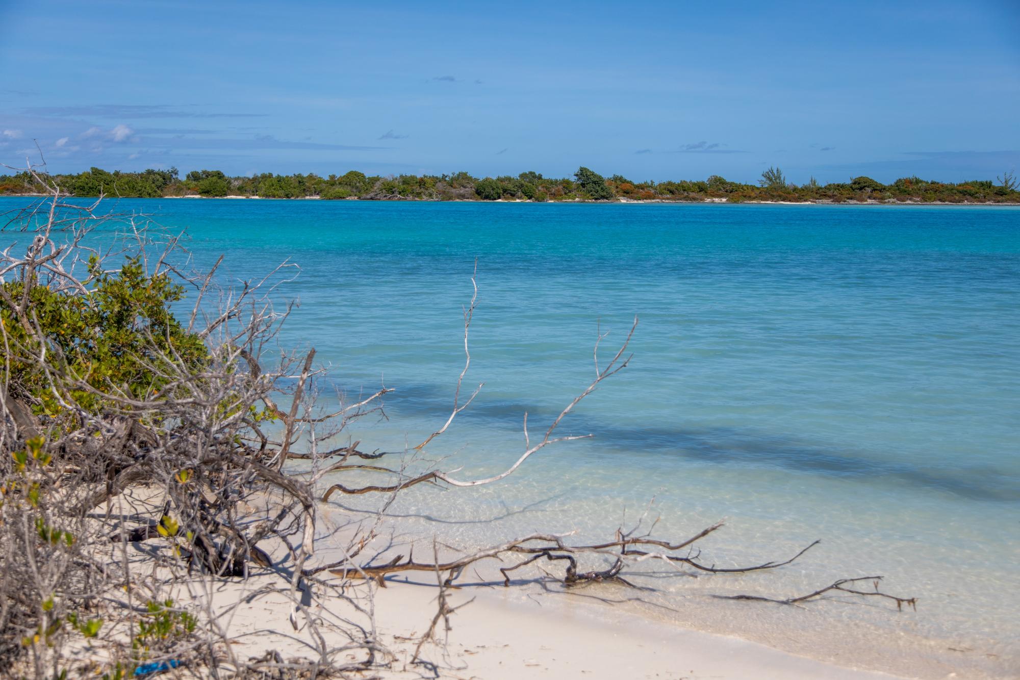 Barracuda Point, Pine Cay