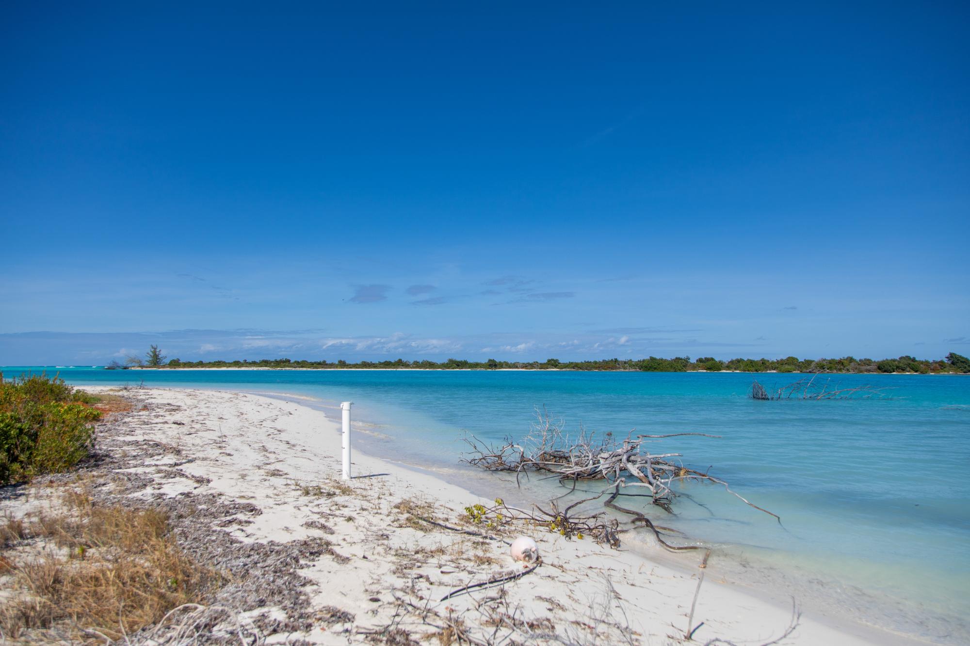 Barracuda Point, Pine Cay