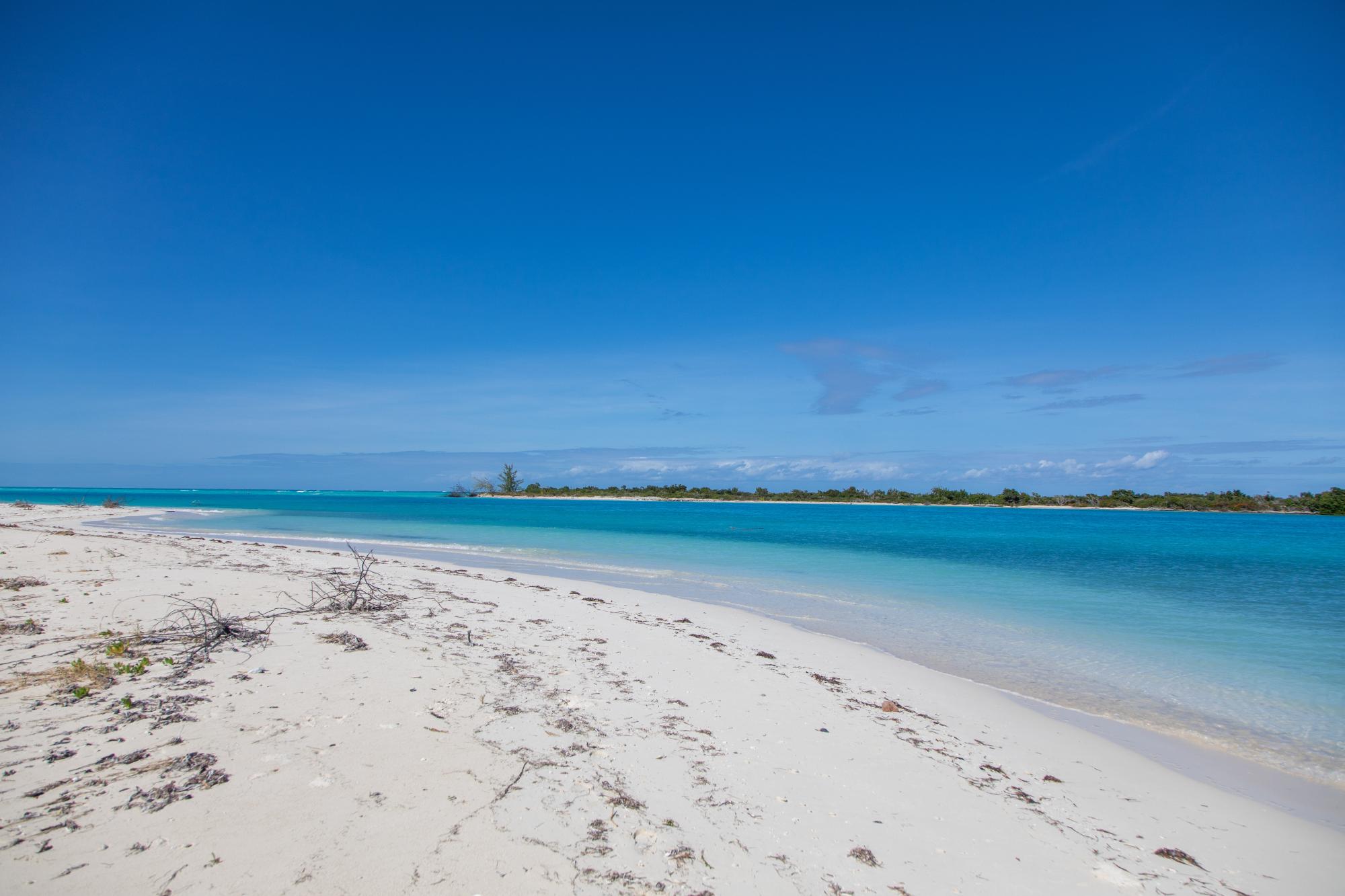 Barracuda Point, Pine Cay