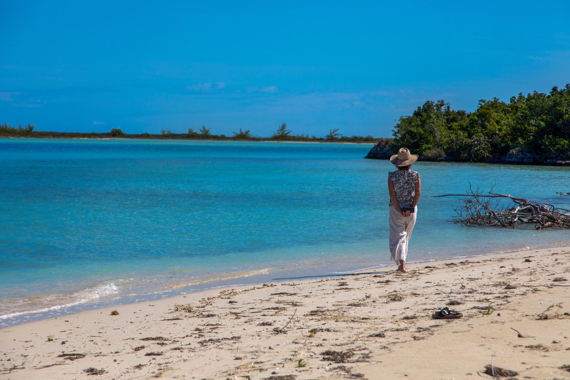 Barracuda Point, Pine Cay