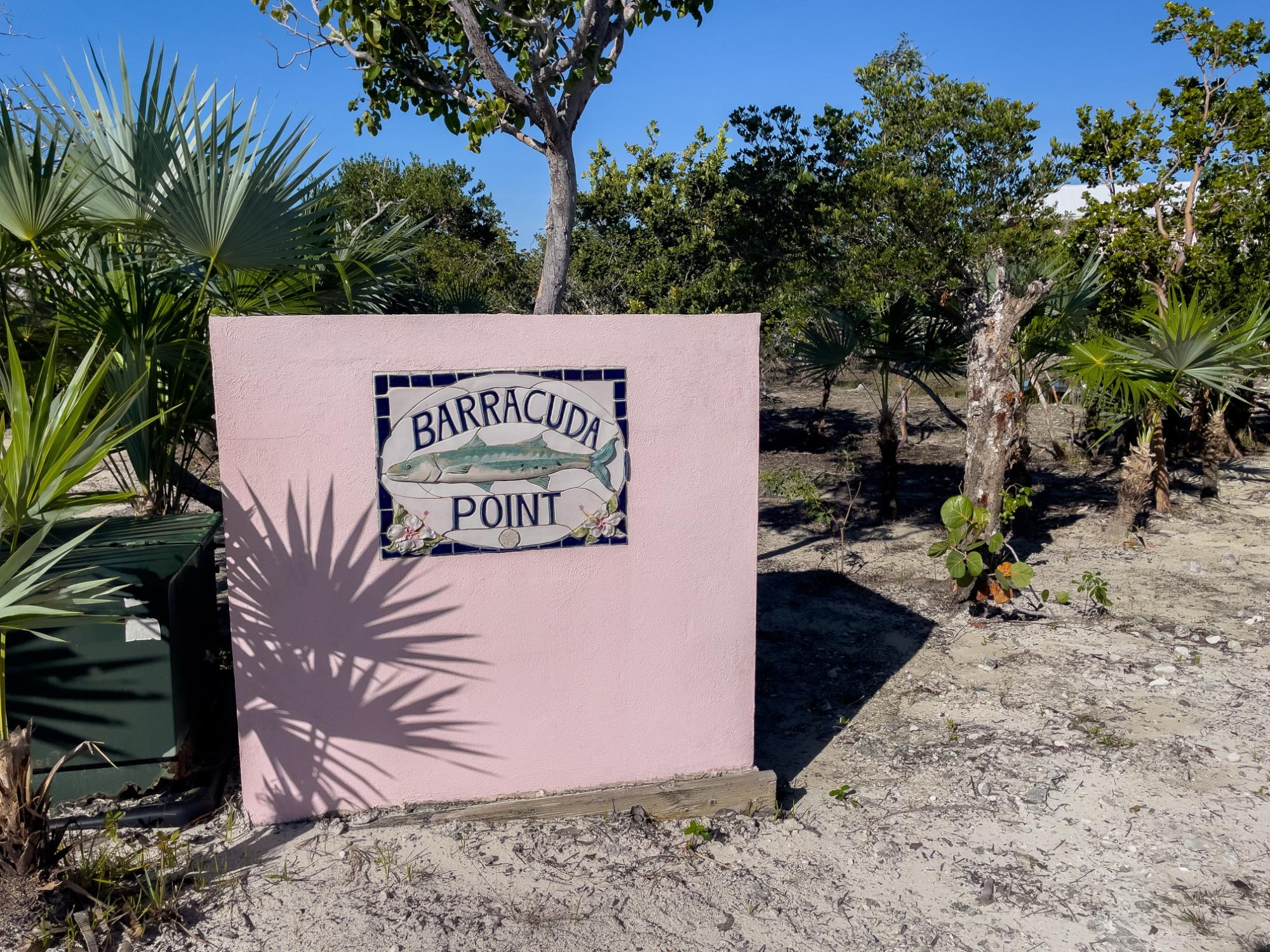 Barracuda Point, Pine Cay