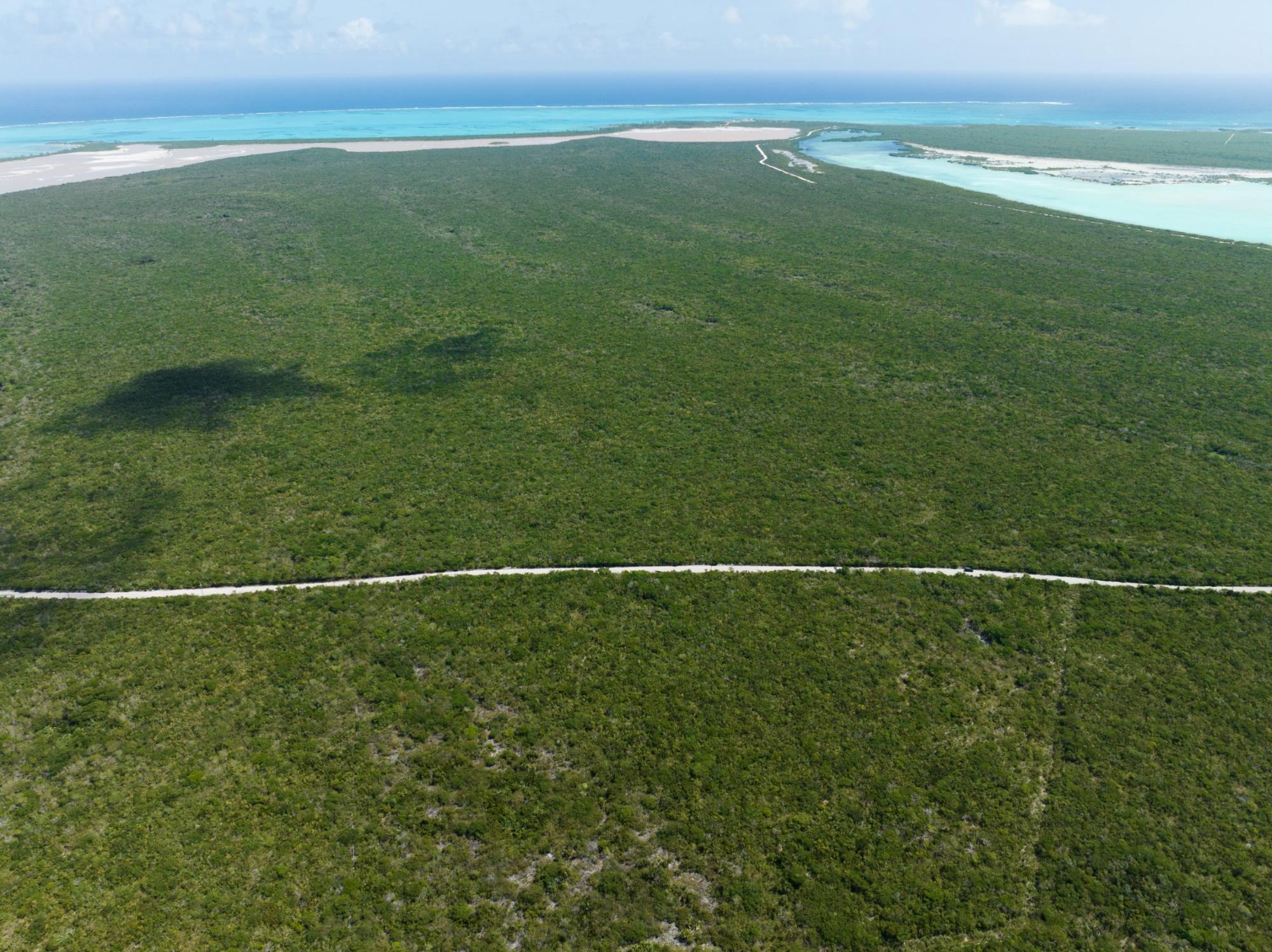 58 ACRES IN MIDDLE CAICOS — photo 2