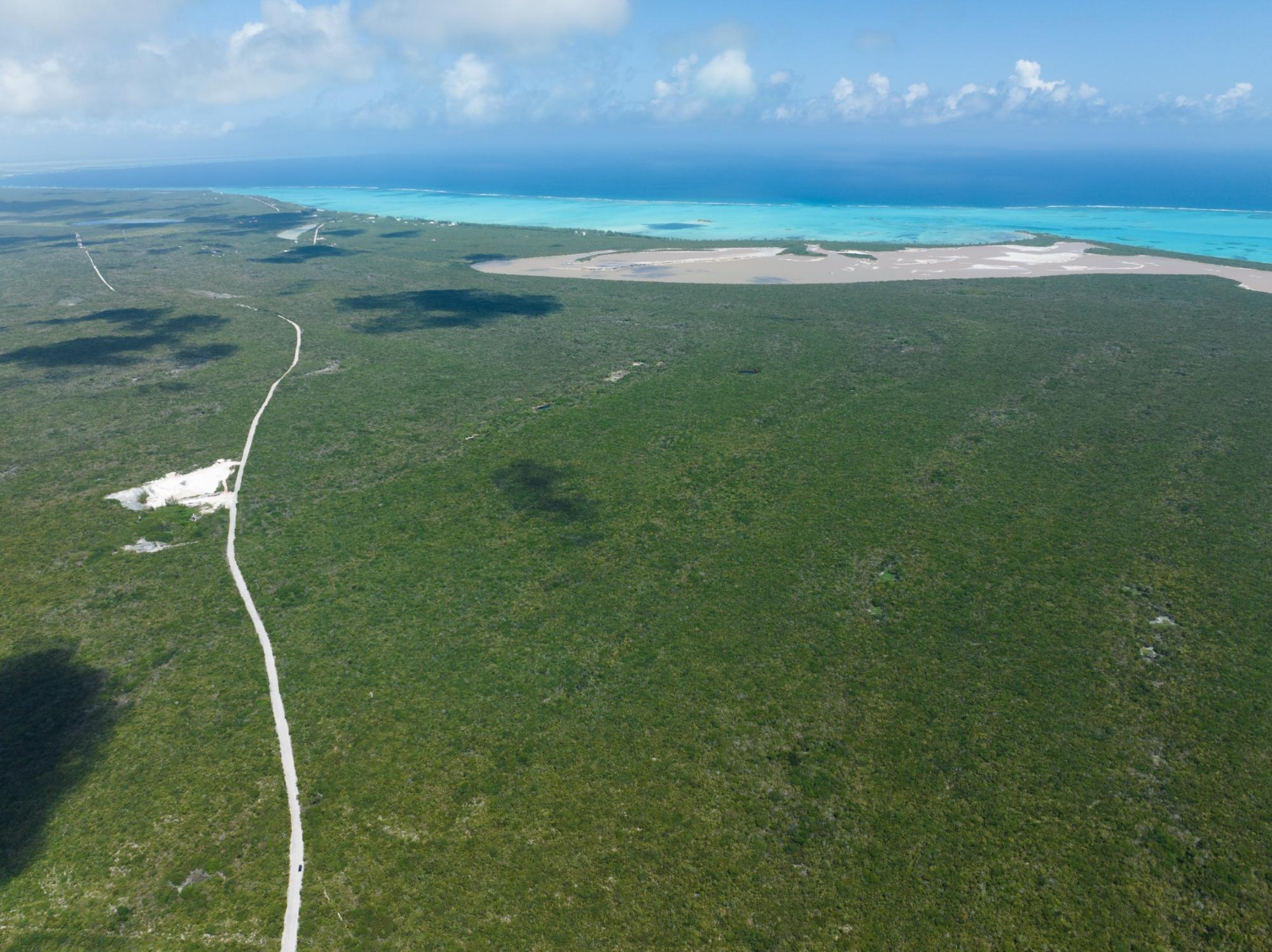 58 ACRES IN MIDDLE CAICOS — photo 3