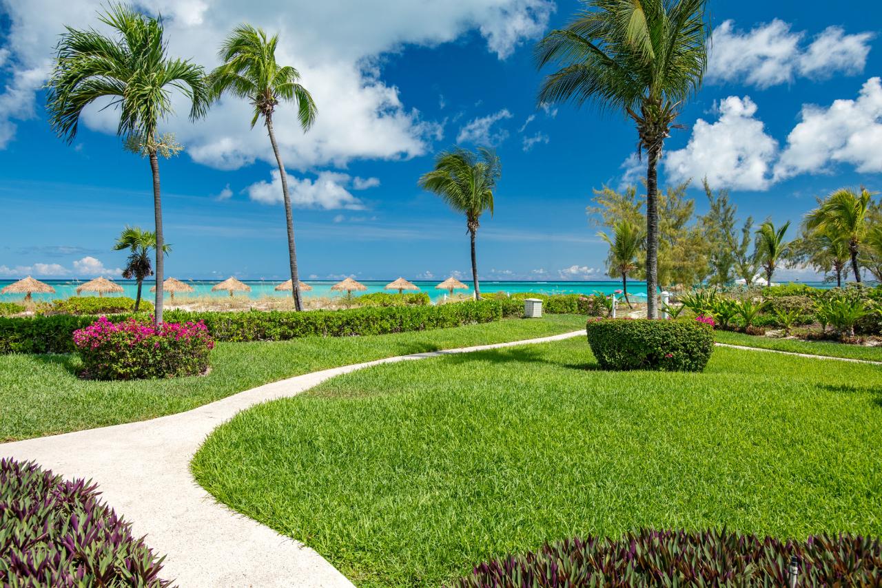 3115 - The Sands At Grace Bay