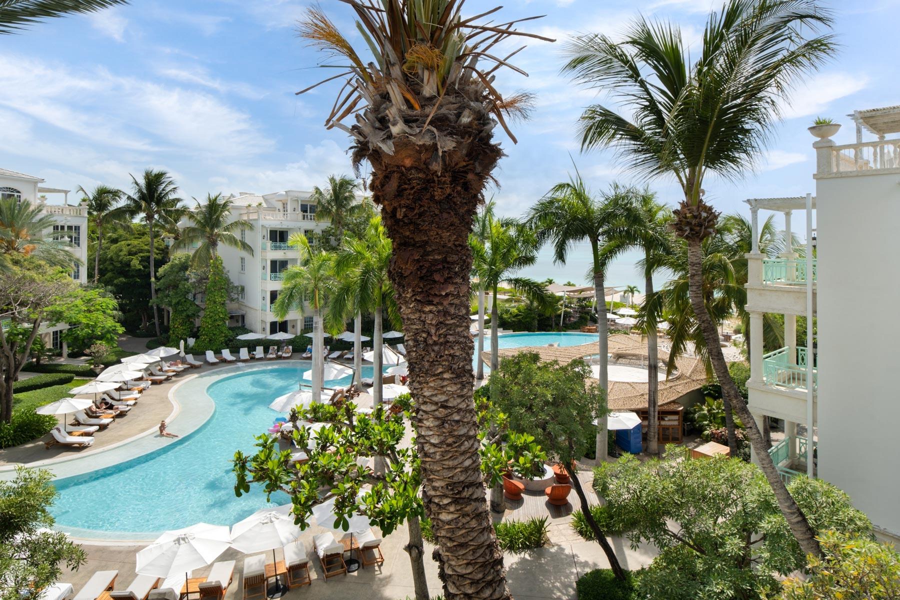 THE PALMS — photo 2