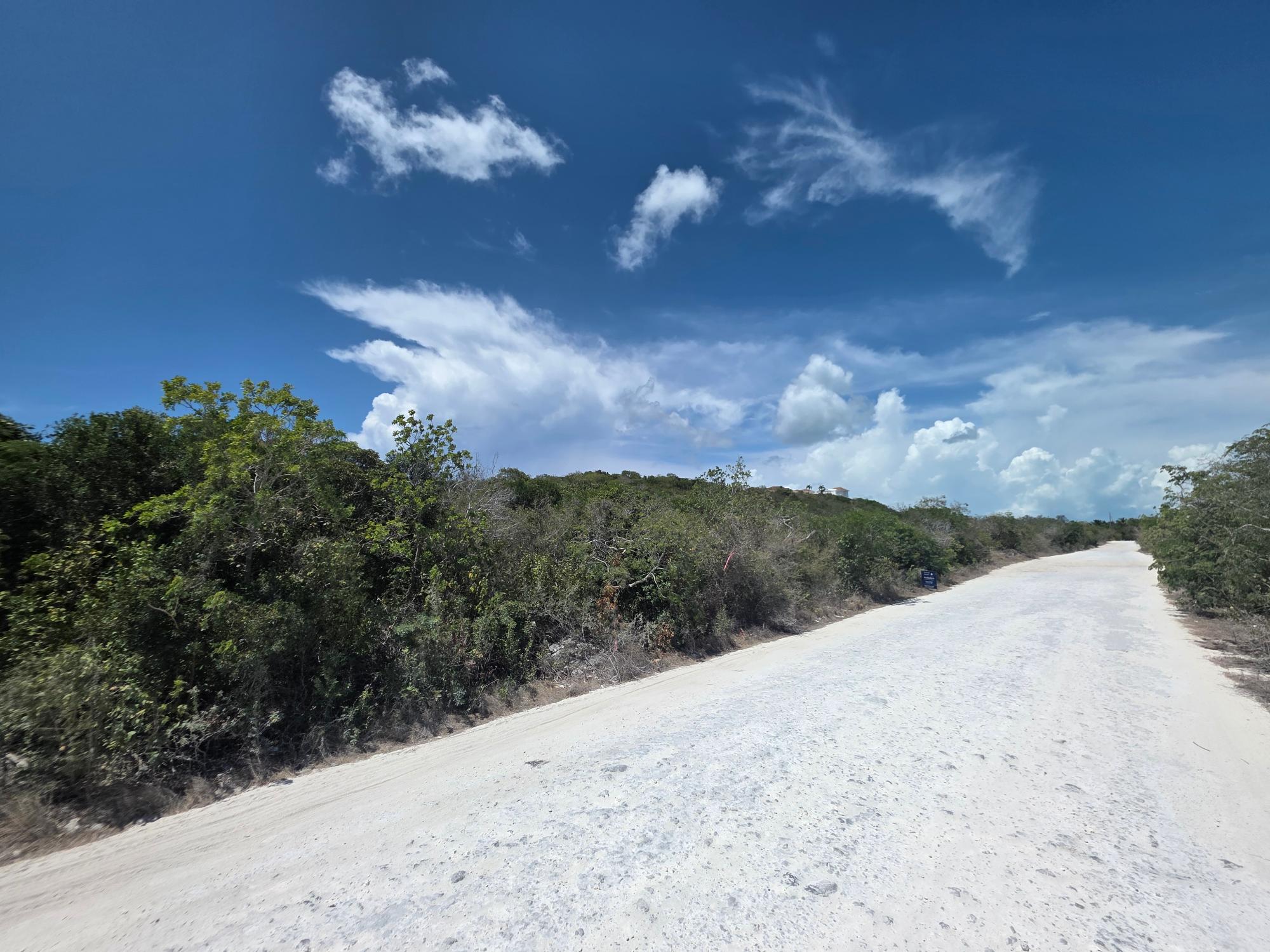 Blue Mountain Residential Land