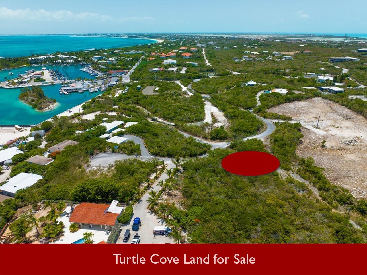 THIRD TURTLE ROAD — photo 2
