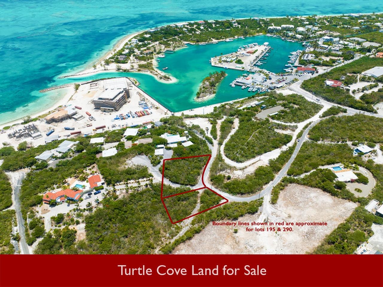 THIRD TURTLE ROAD — photo 3