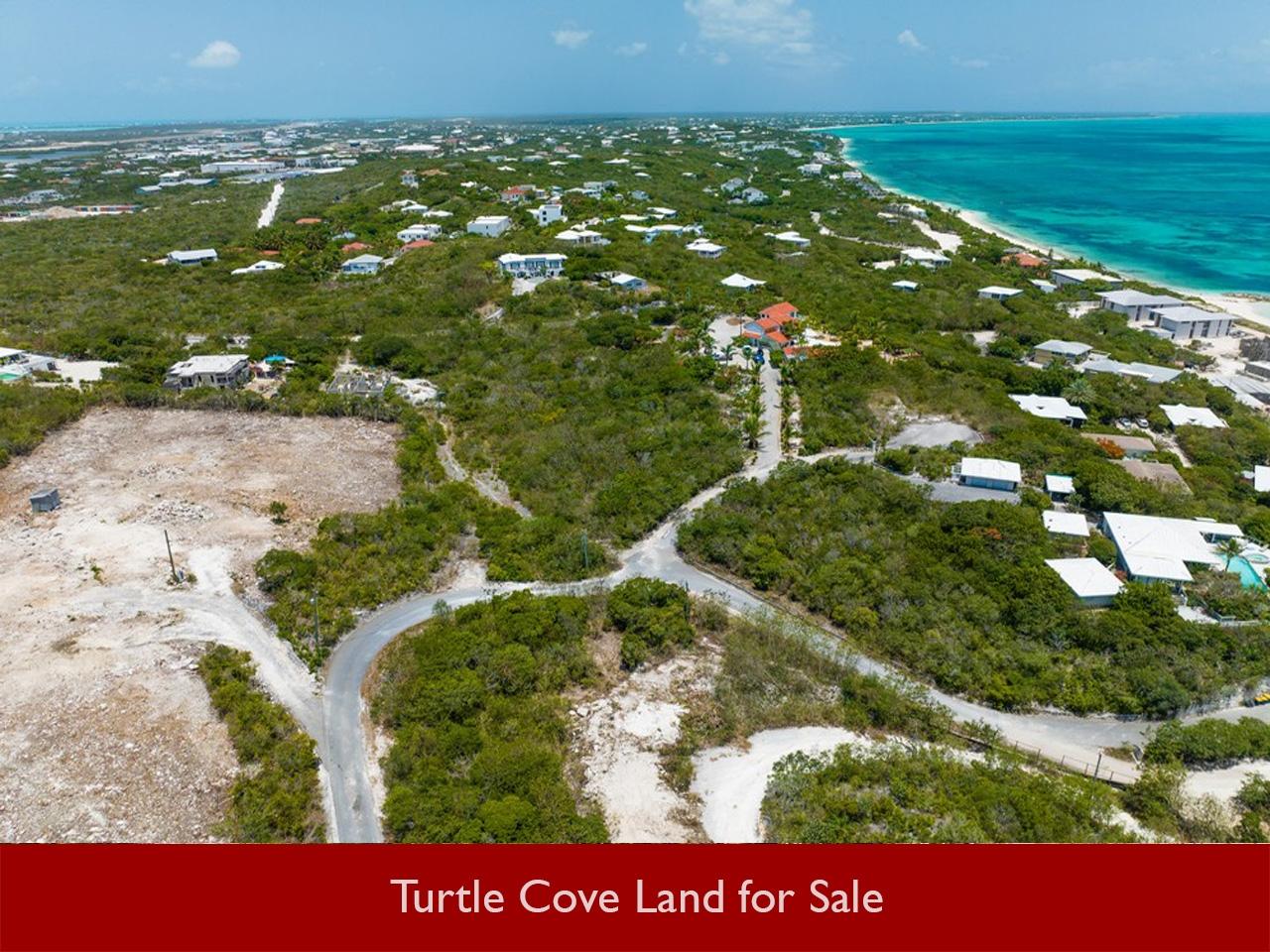 THIRD TURTLE ROAD — photo 4