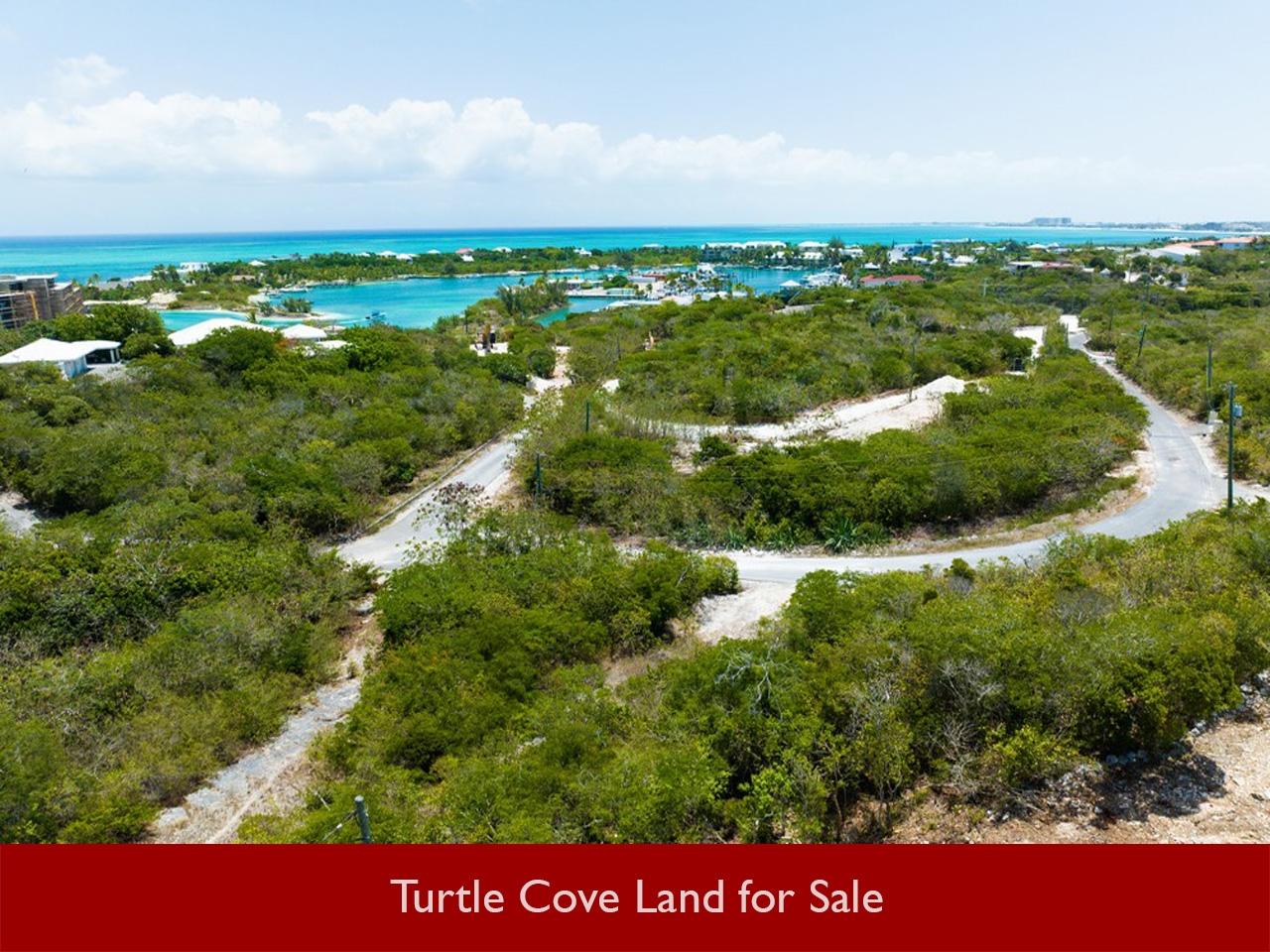 THIRD TURTLE ROAD — photo 5