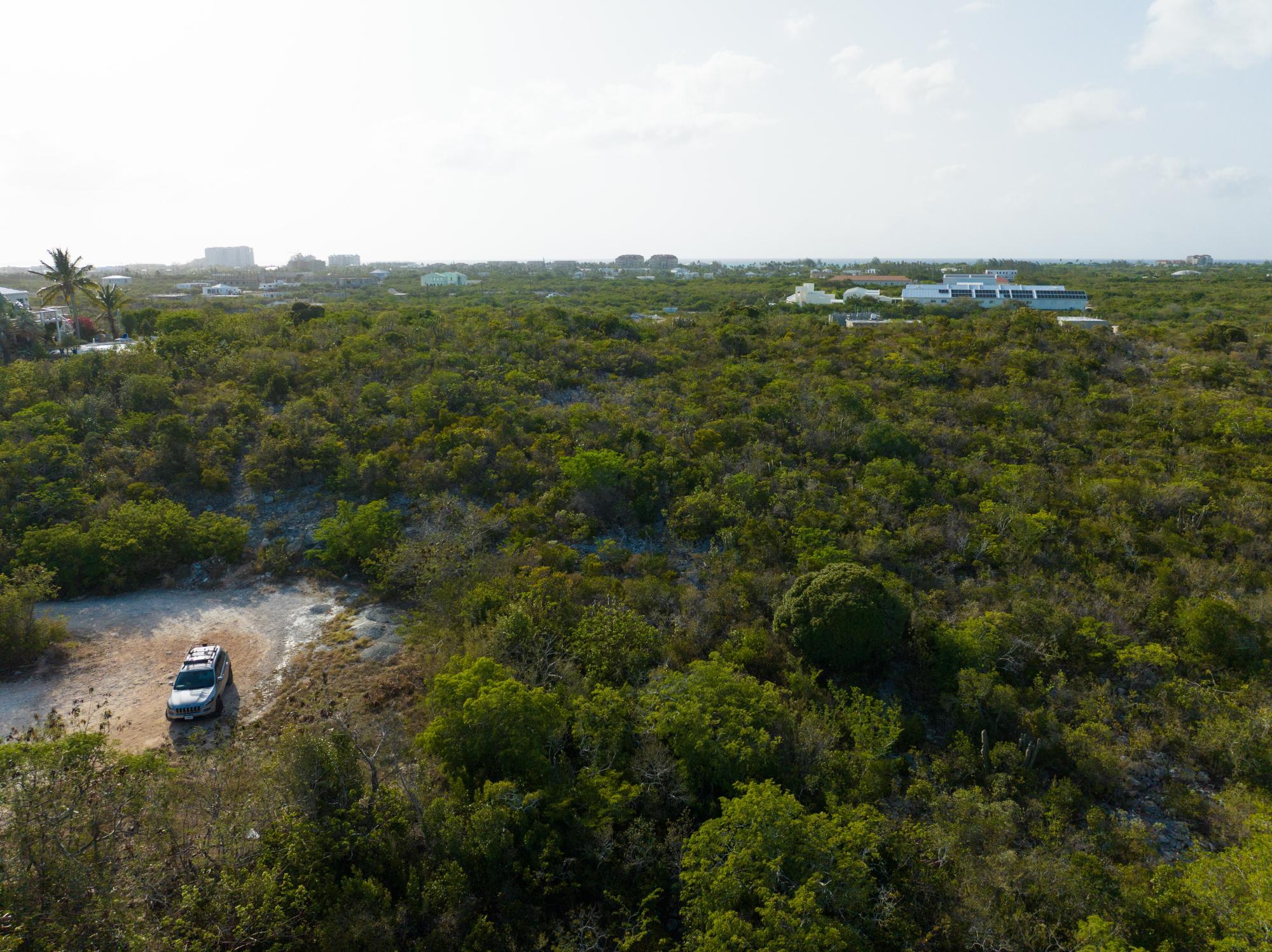 0.81ac Ocean View Land On Dolphin Lane