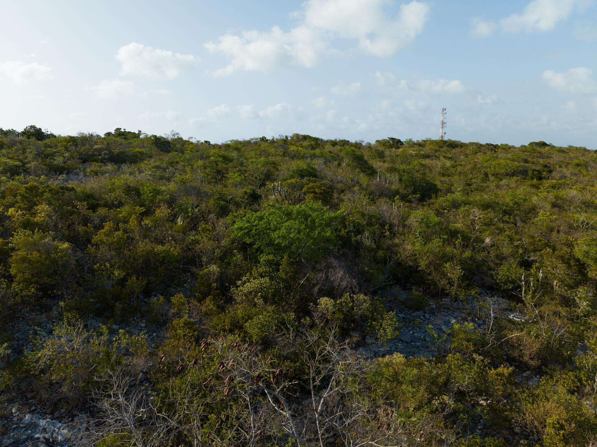 0.81ac Ocean View Land On Dolphin Lane