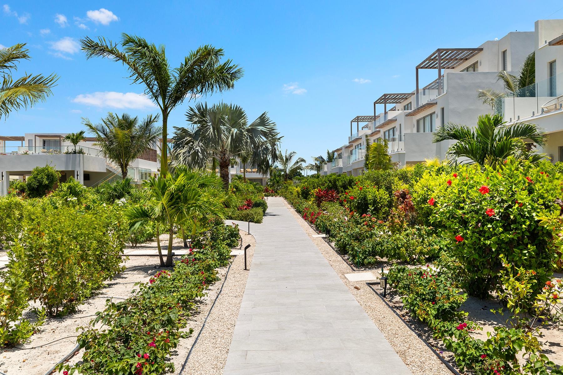 The Park at Grace Bay