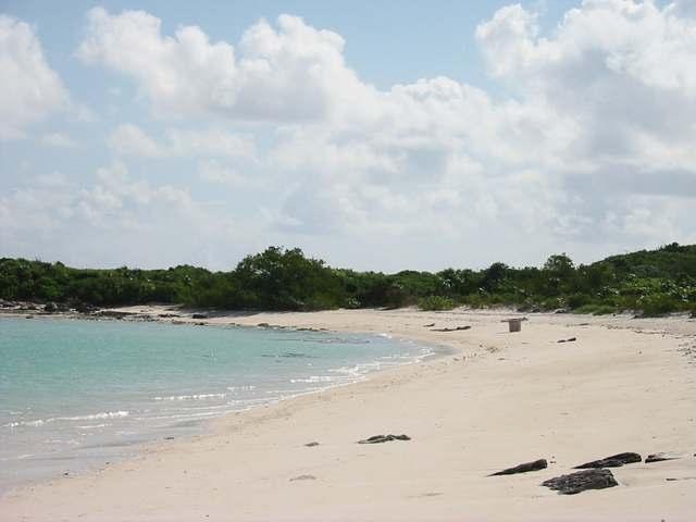 Oceanview level land