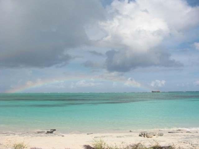 Oceanview level land