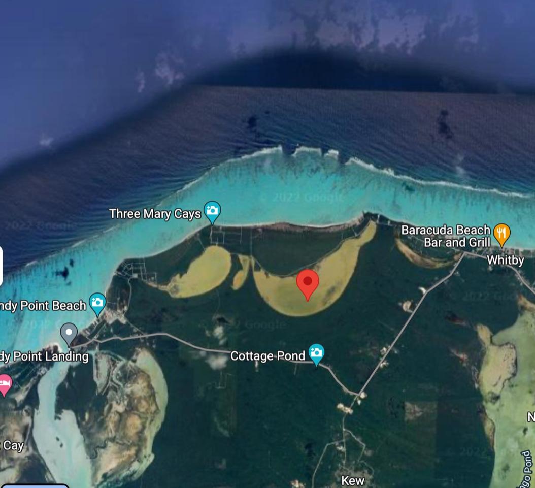Oceanview level land