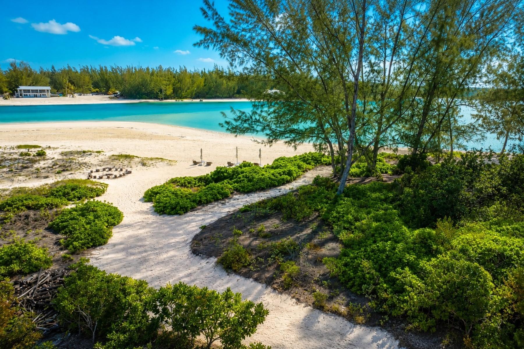THE LODGE, PARROT CAY — photo 4