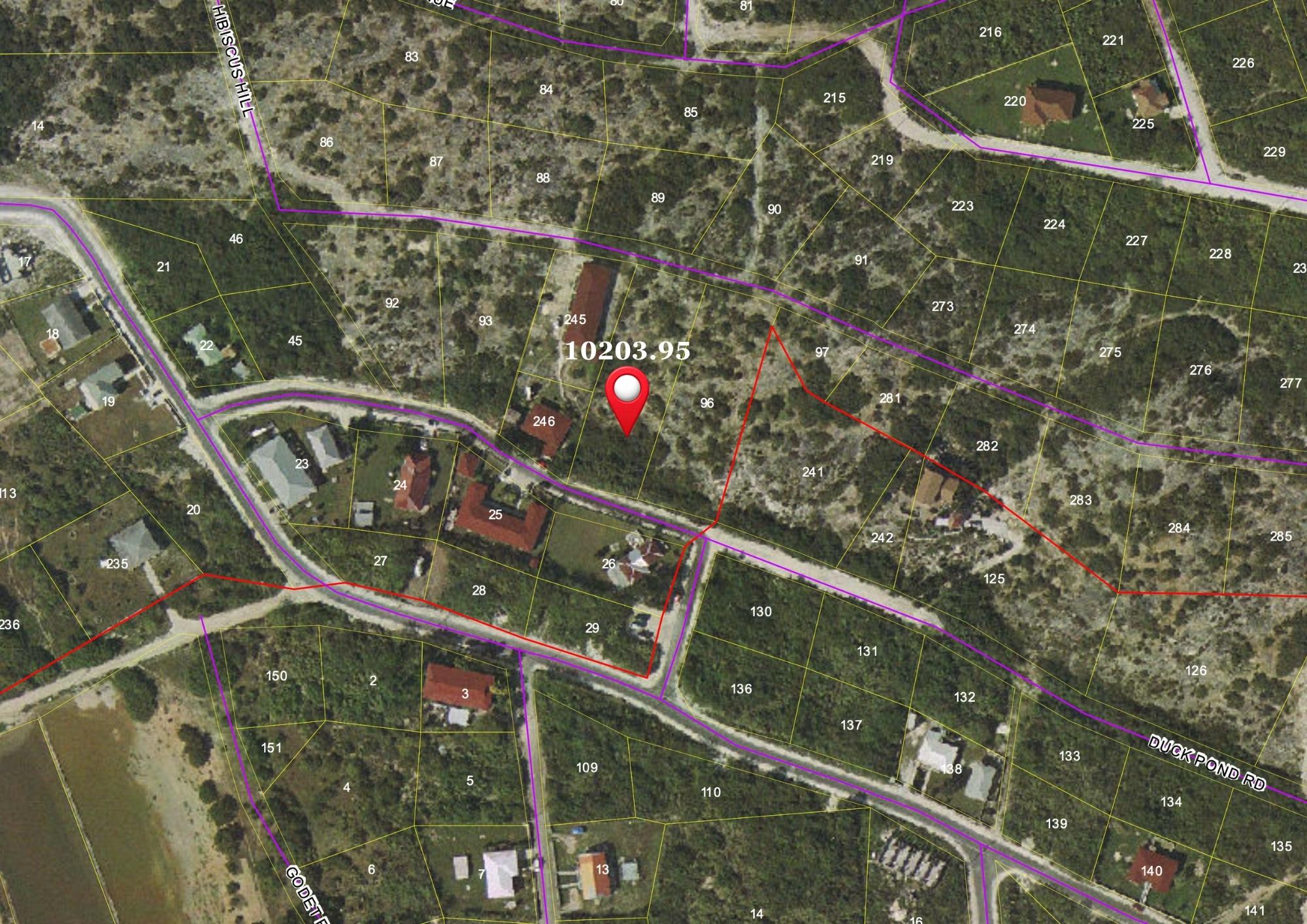 DUCK POND RD — photo 2