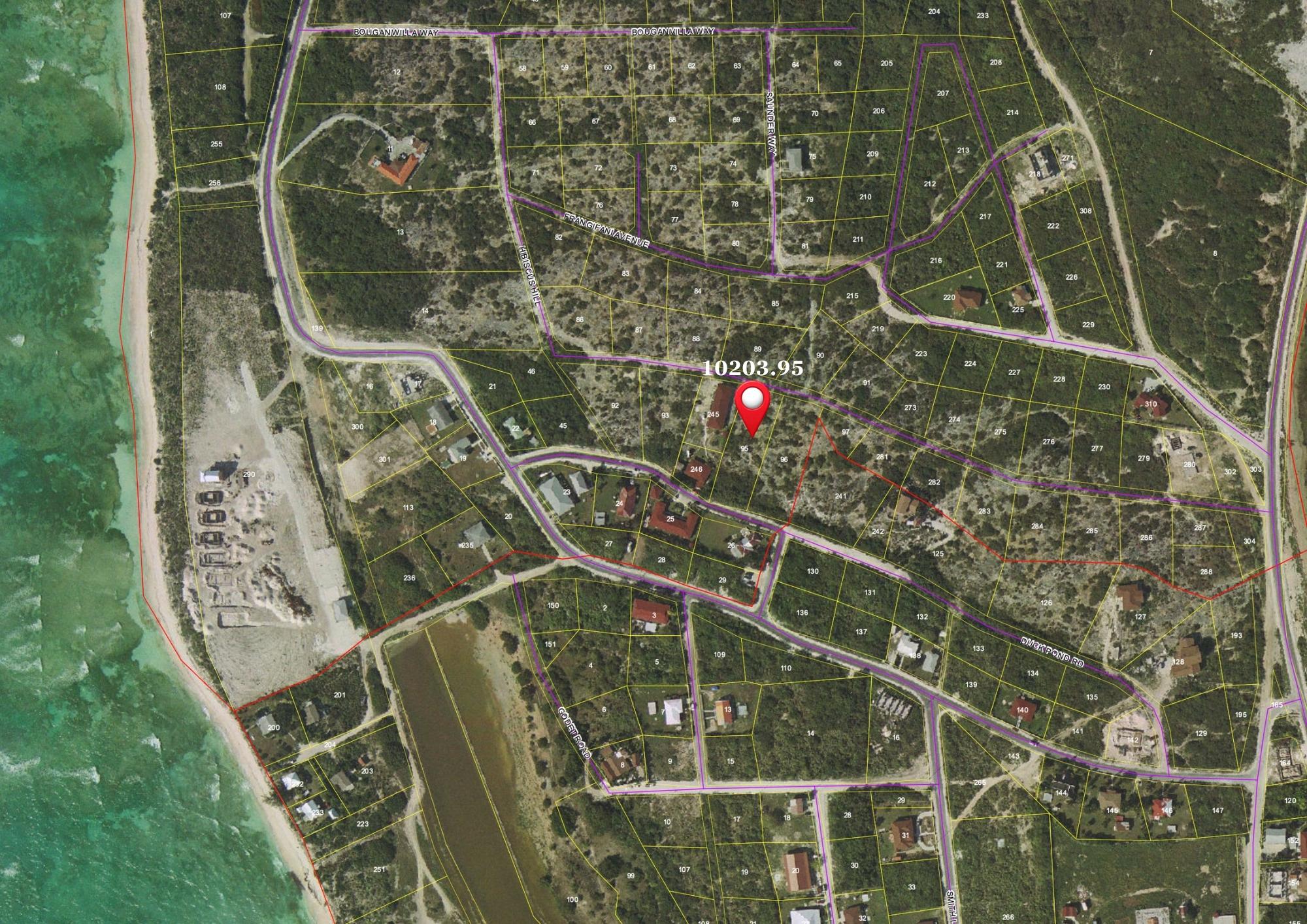 DUCK POND RD — photo 4
