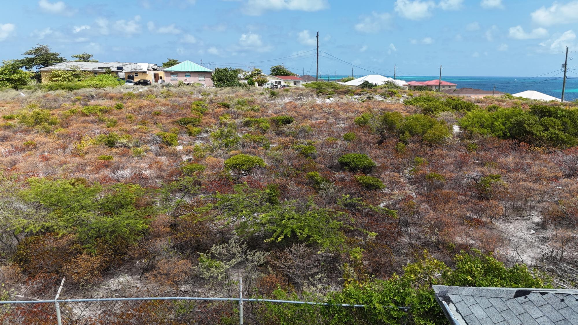 BREEZY BRAE, GRAND TURK — photo 5