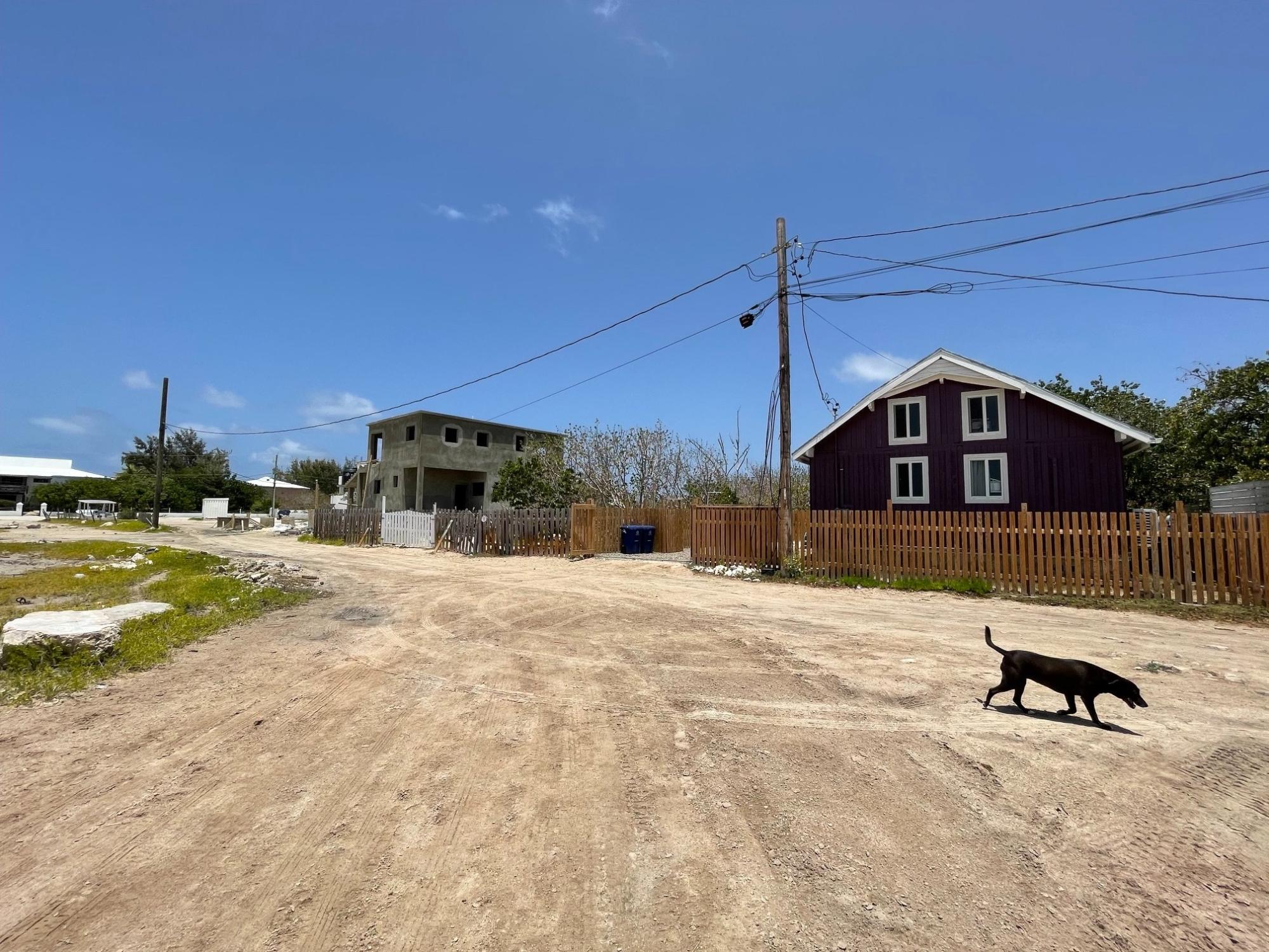 PURPLE HOUSE — photo 3